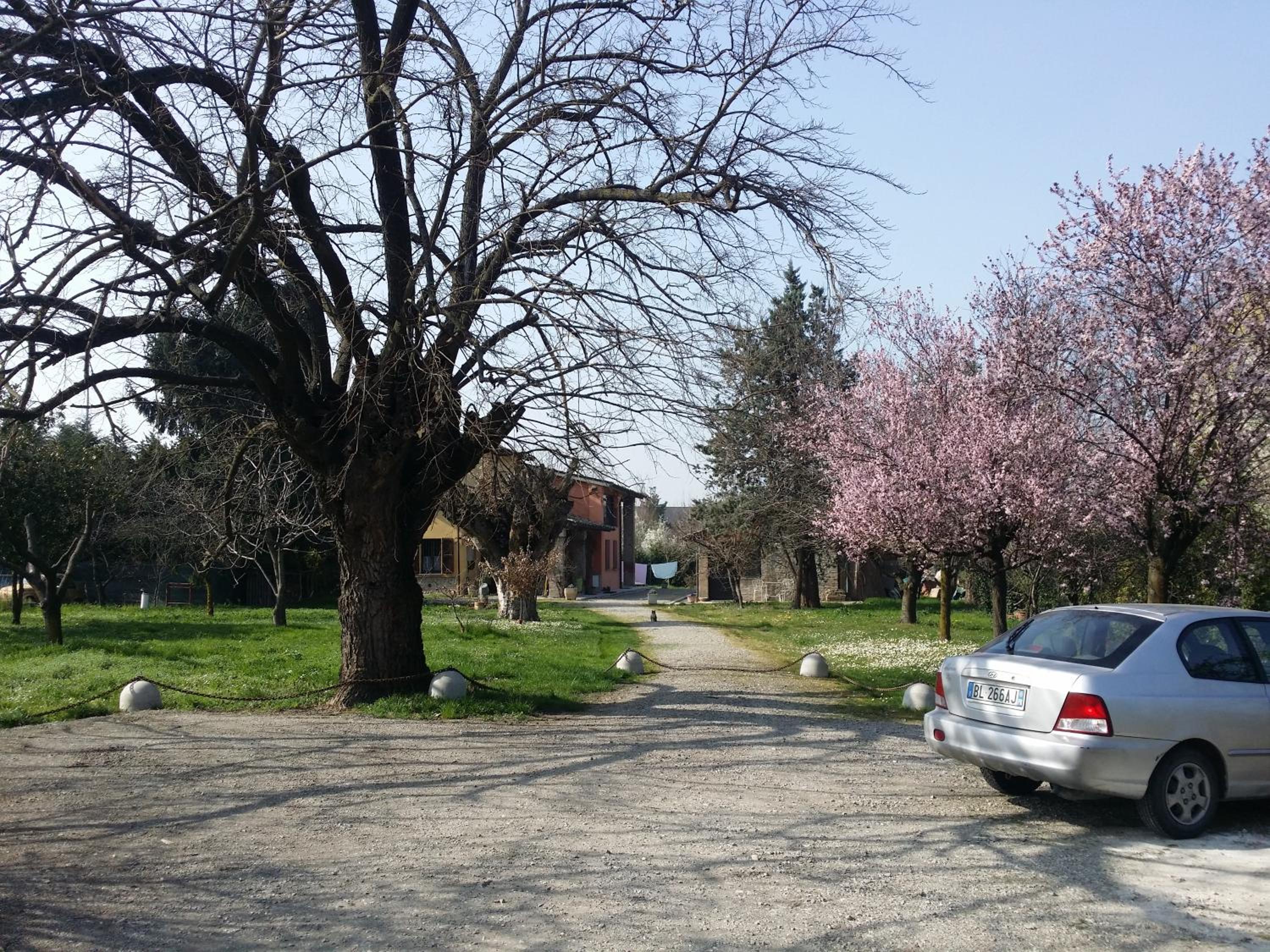 Photo 31