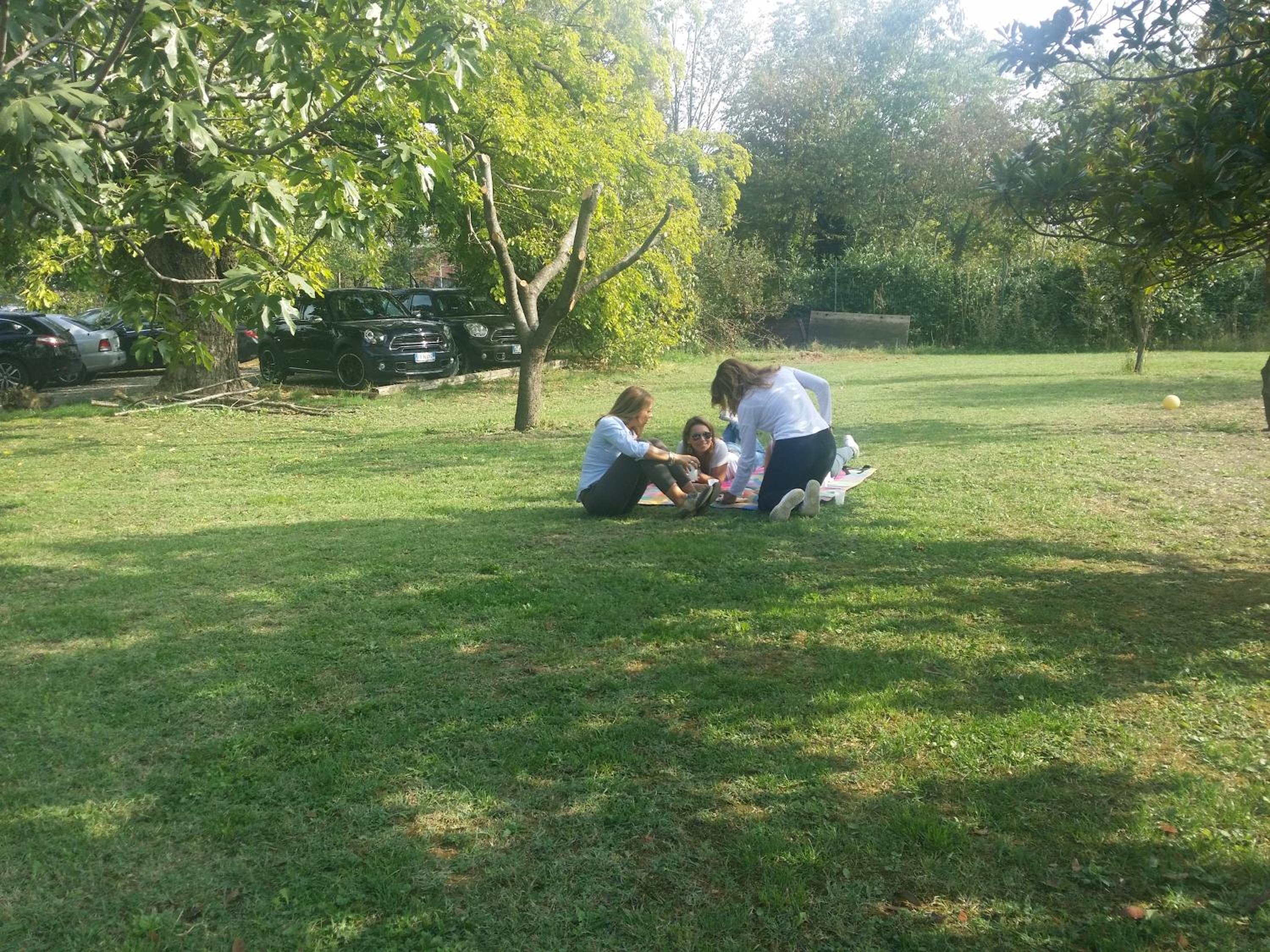 Photo 32