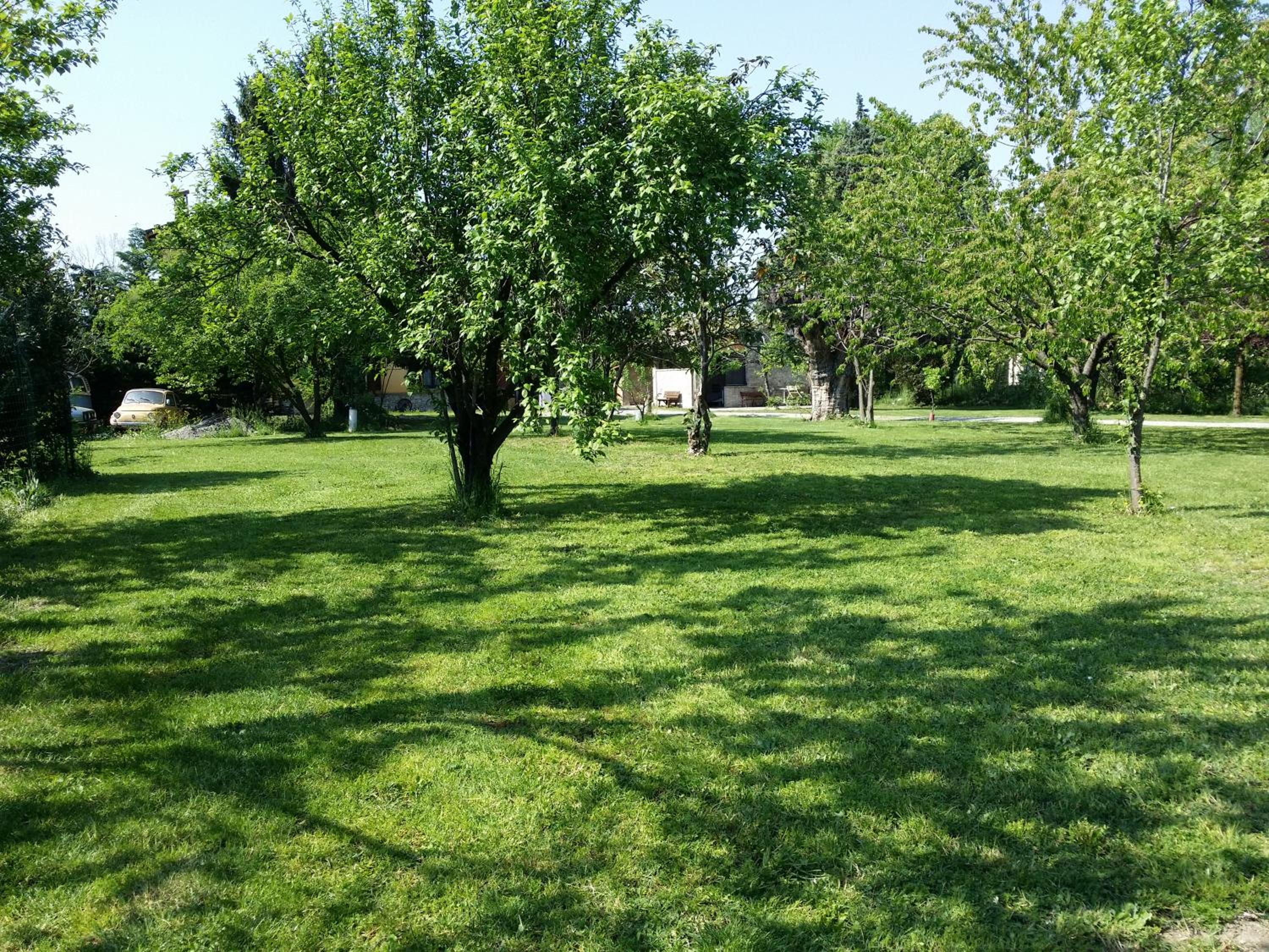 Photo 36