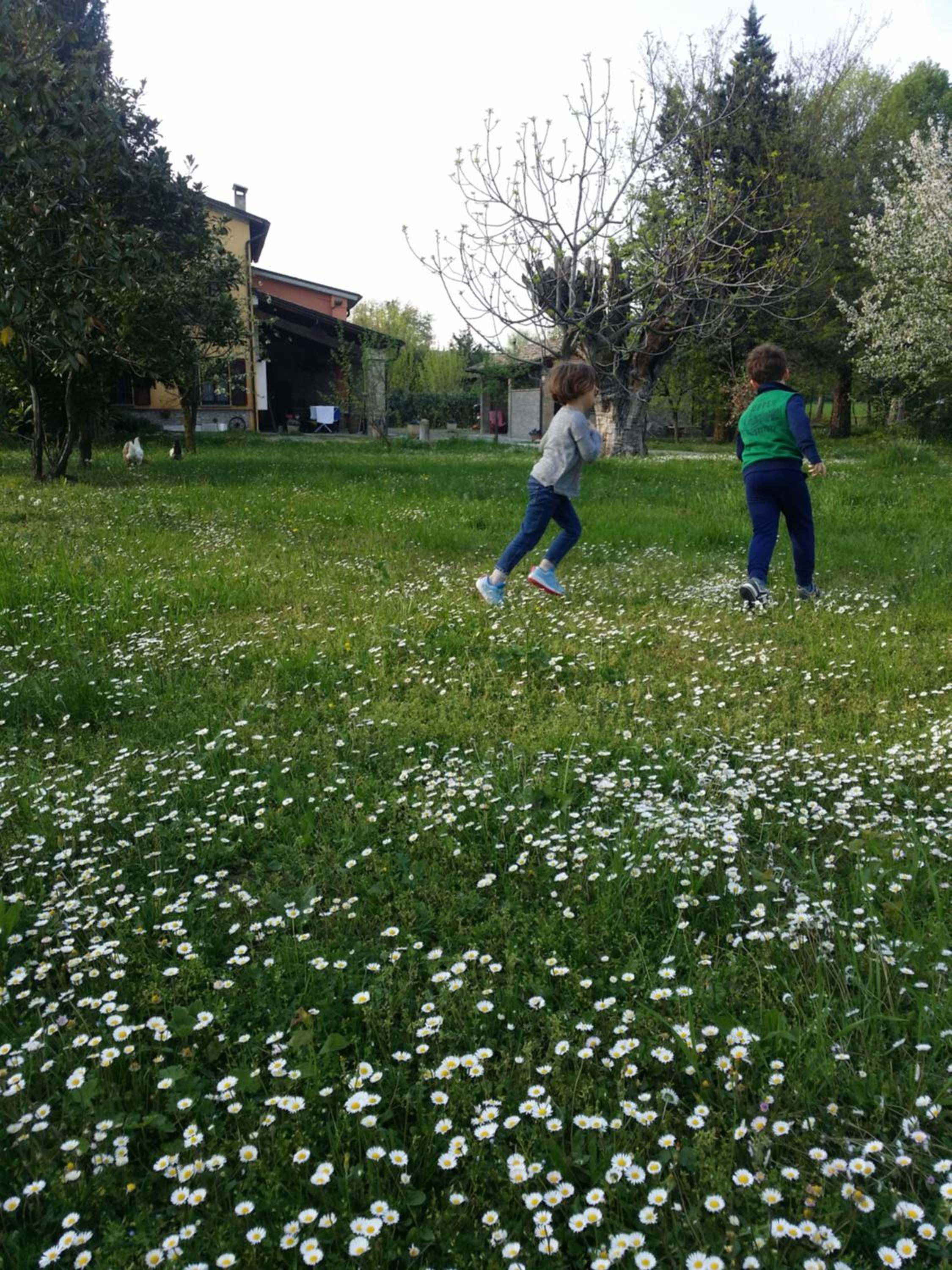 Photo 34