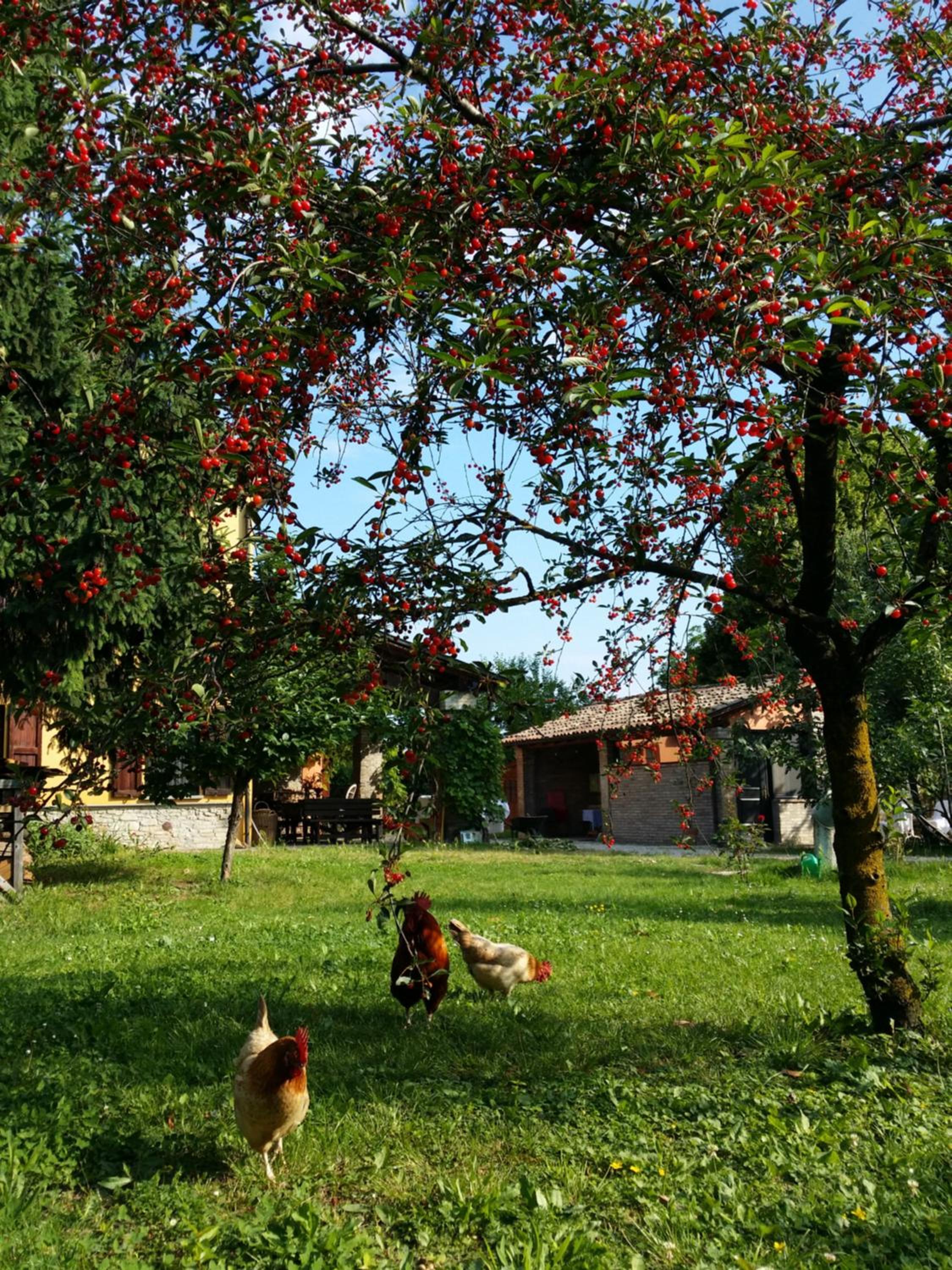 Photo 42