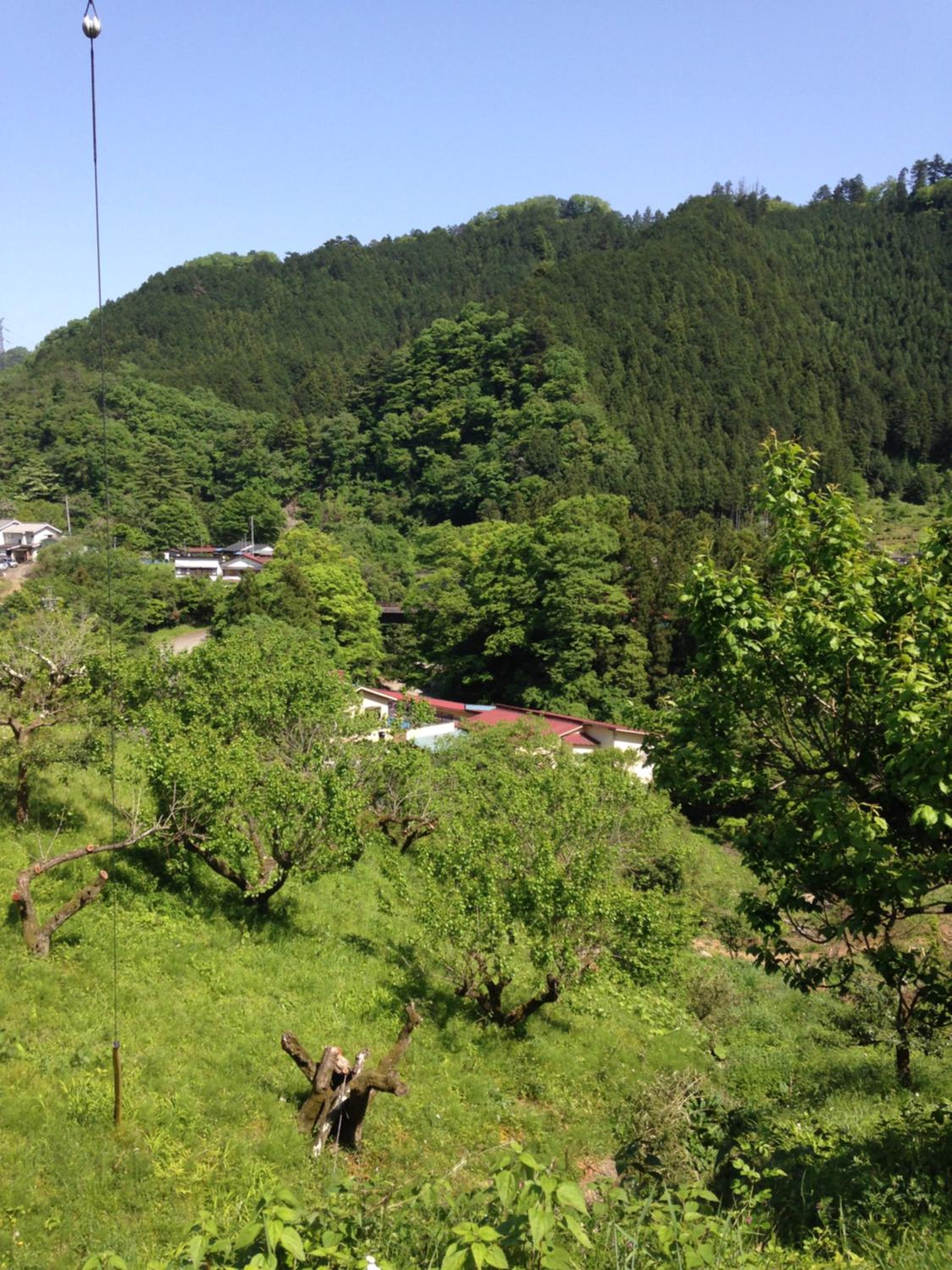 Photo 45