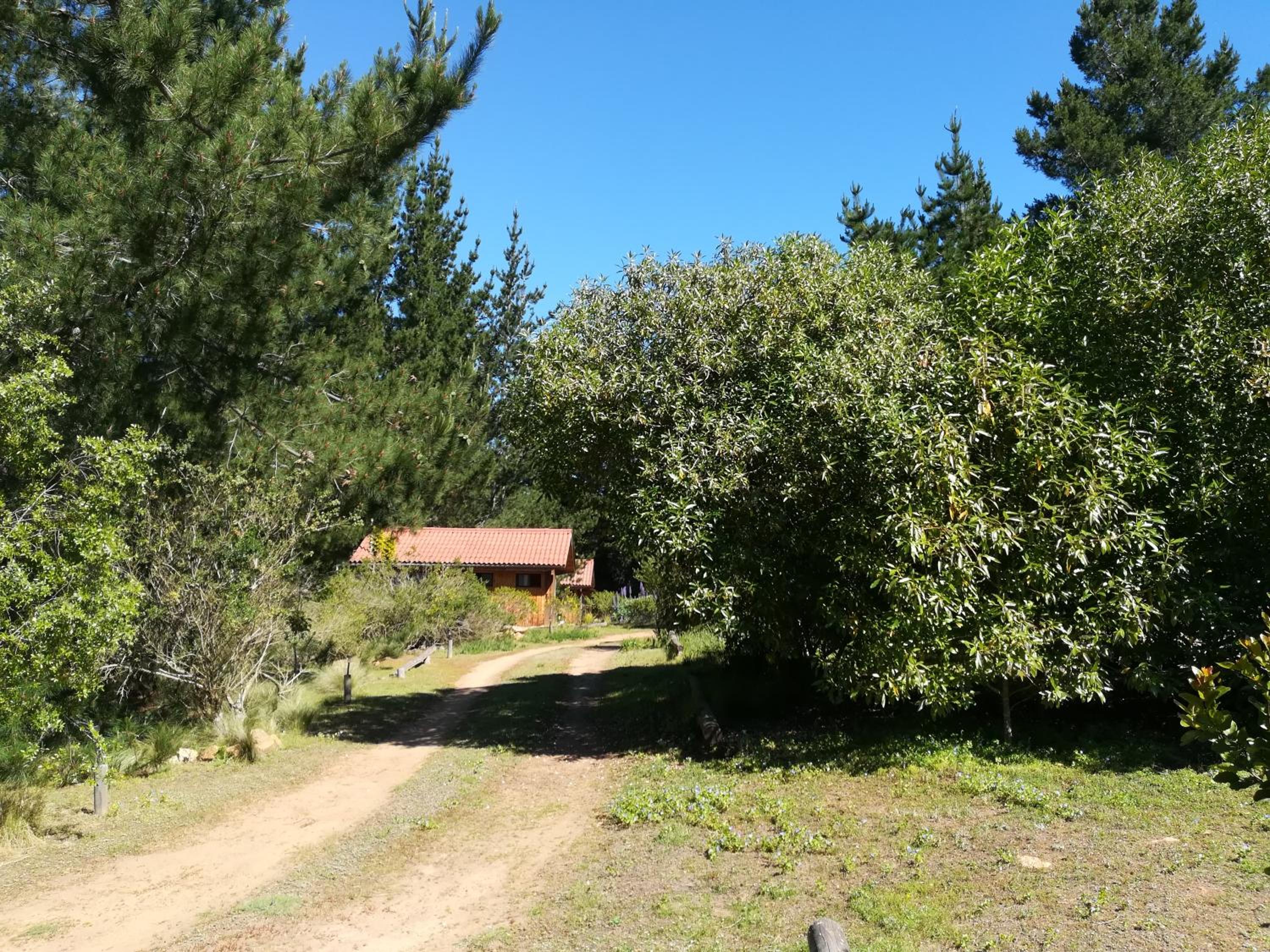 Eco Cabañas Algarrobo