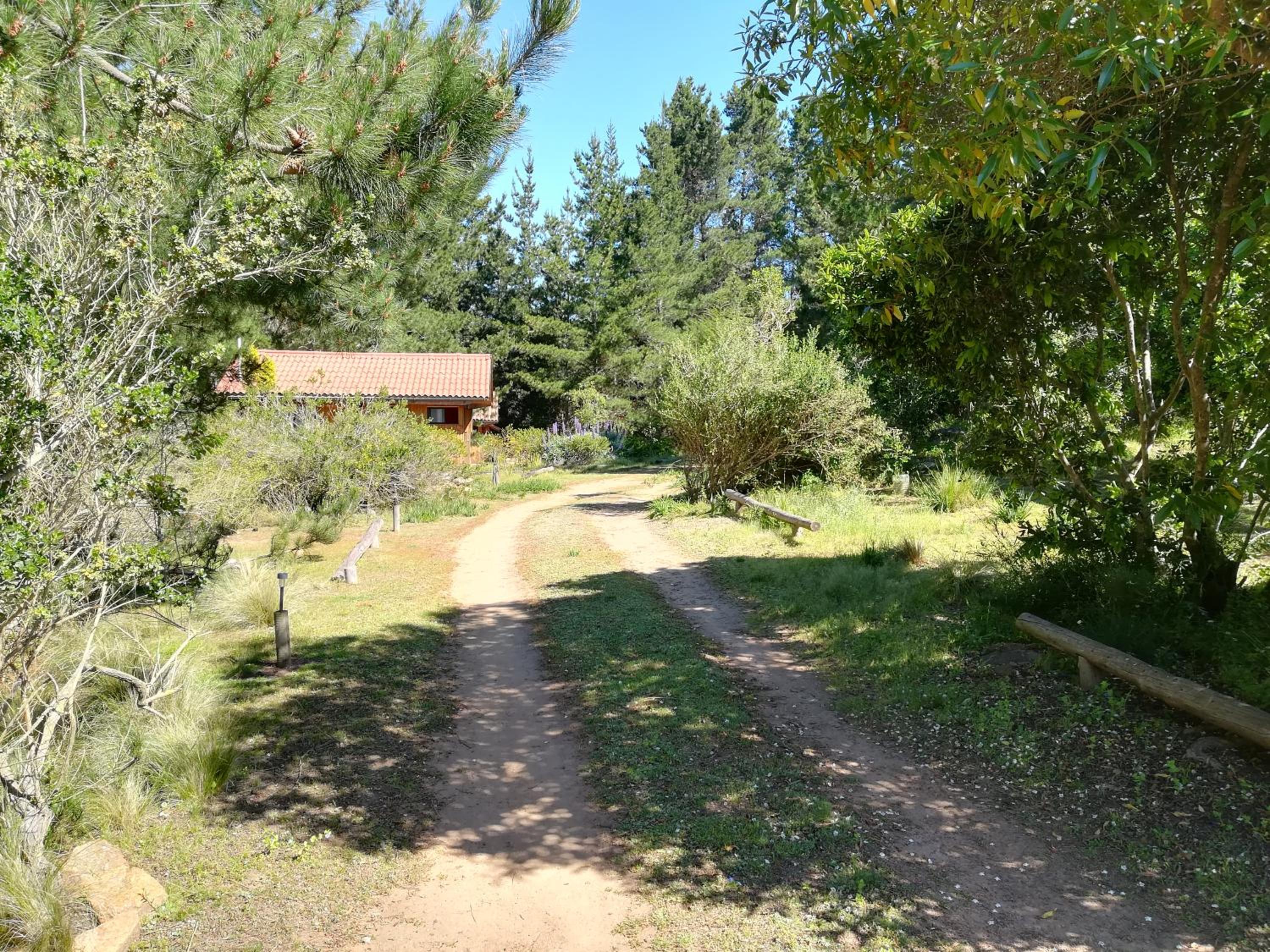 Eco Cabañas Algarrobo