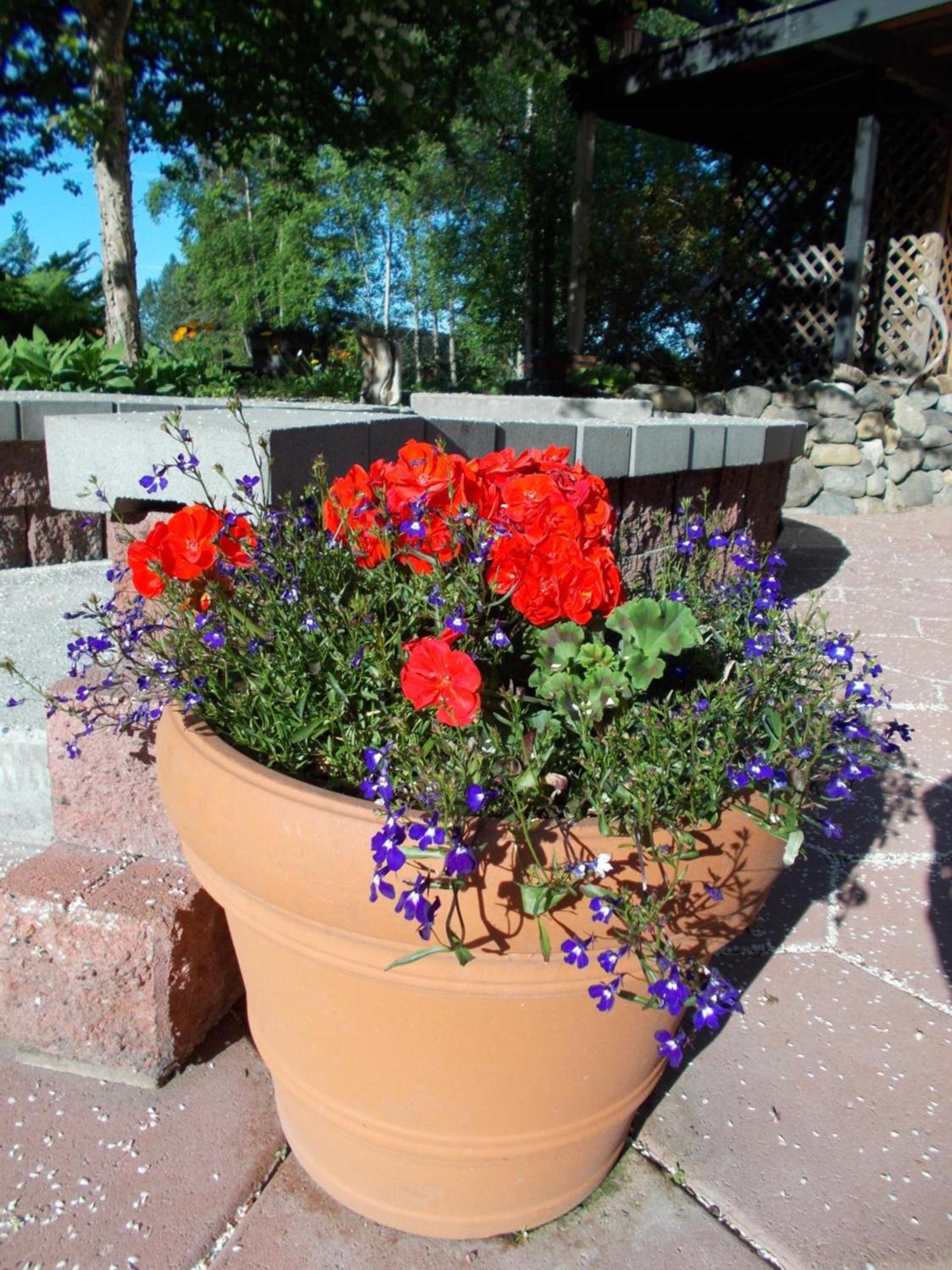 Photo 47