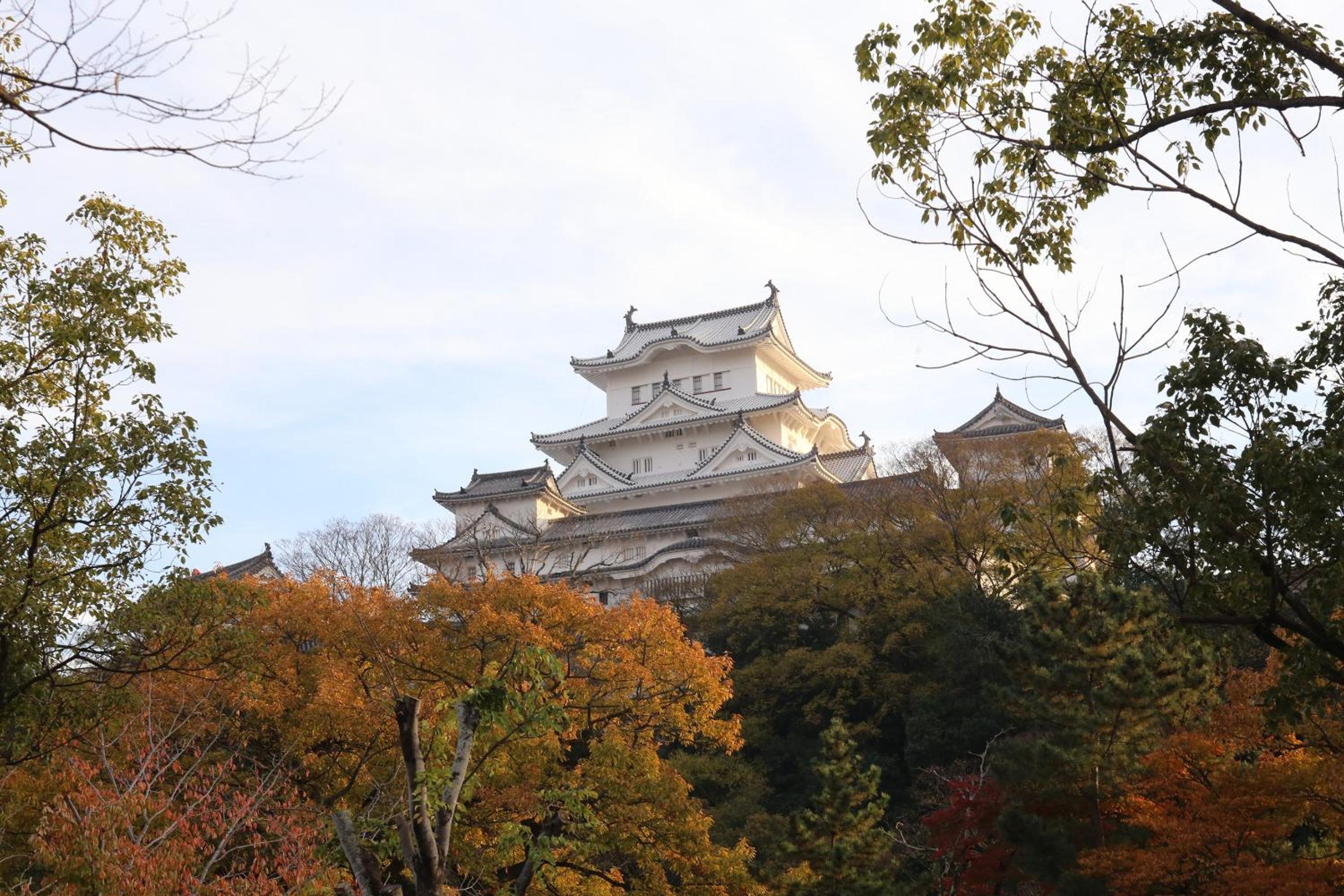 Himeji Vacations - Himeji 588 Guest House - Property Image 30