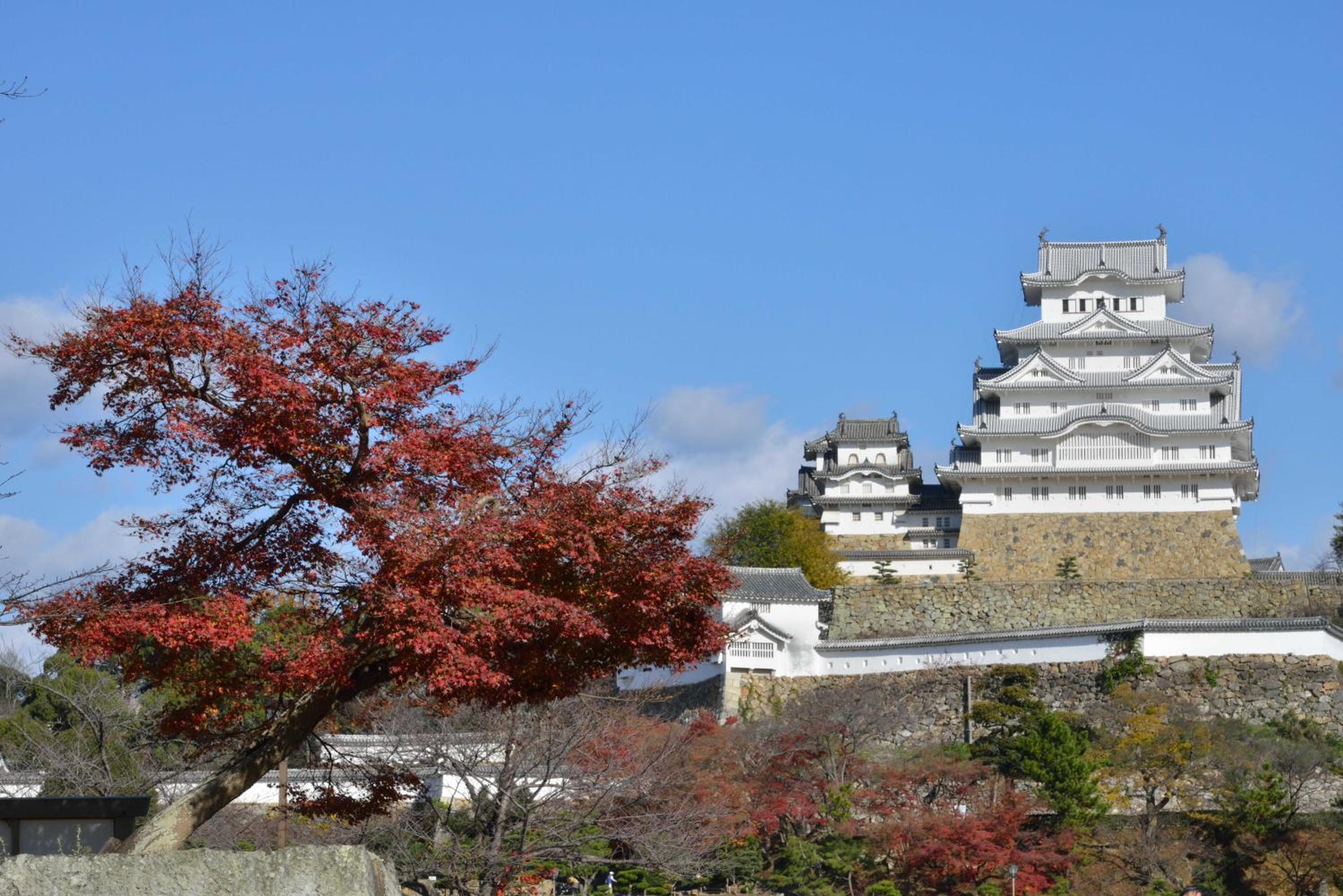 Himeji Vacations - Himeji 588 Guest House - Property Image 29