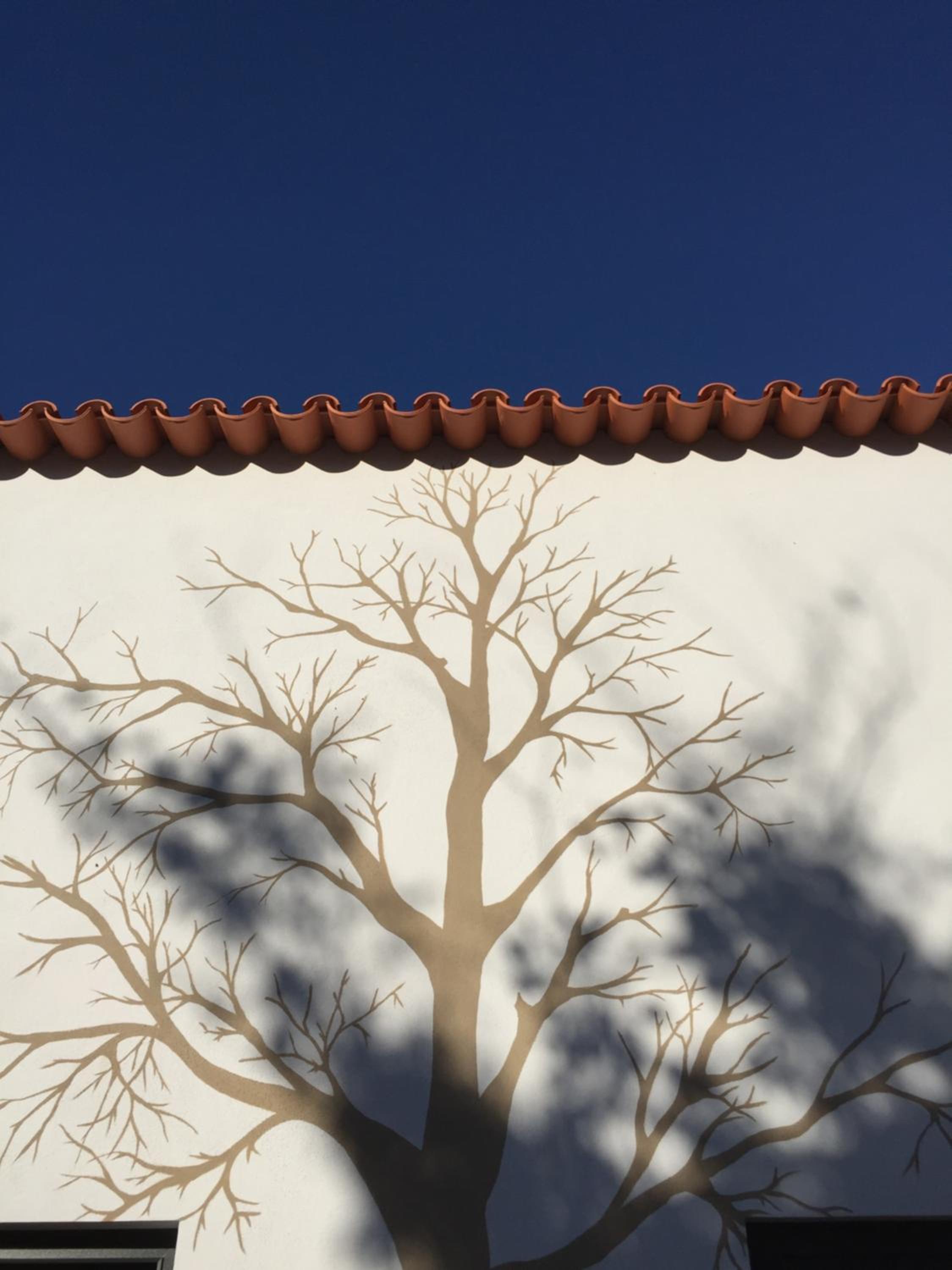 Horta dos Cedros