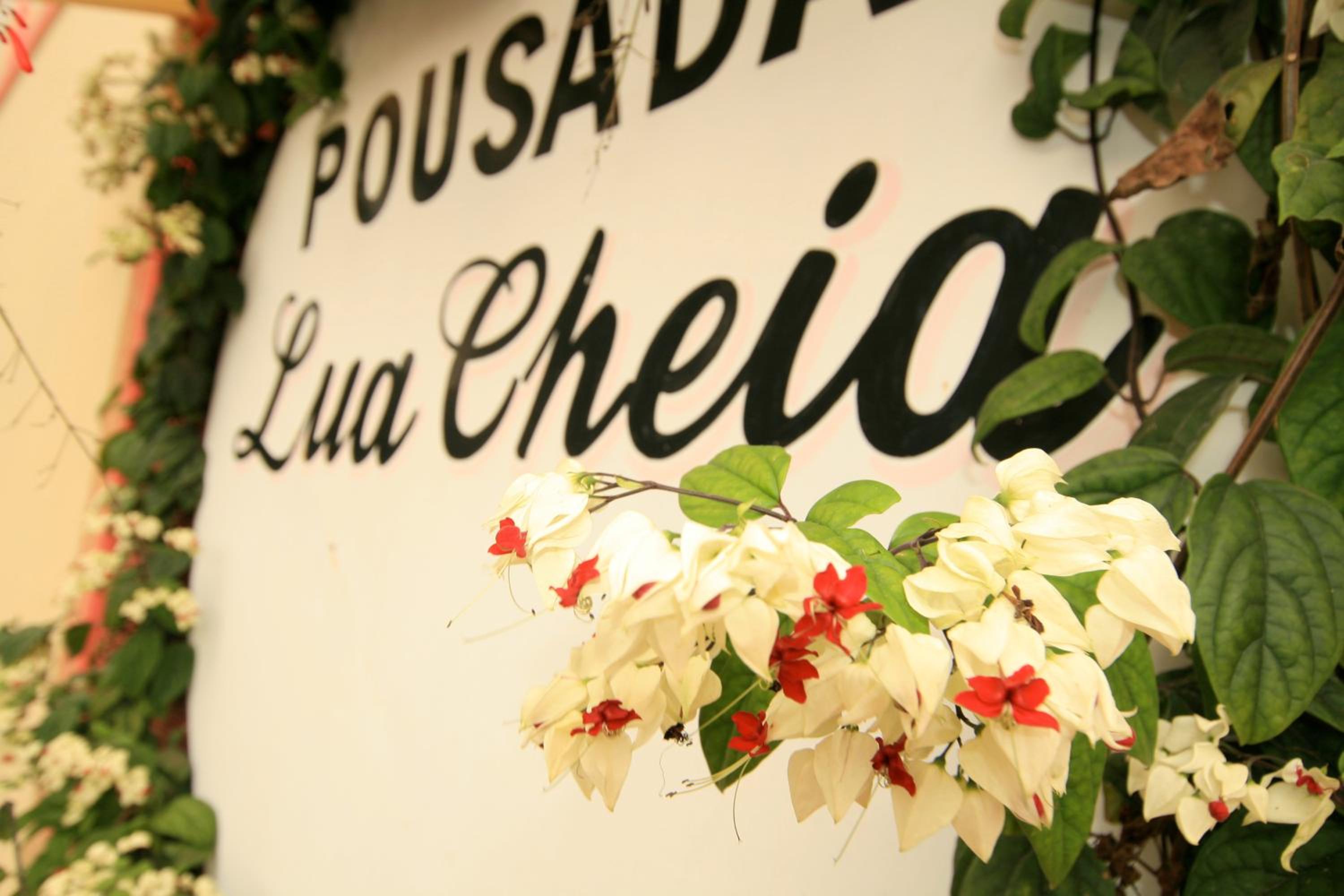 Pousada Lua Cheia, photo 83