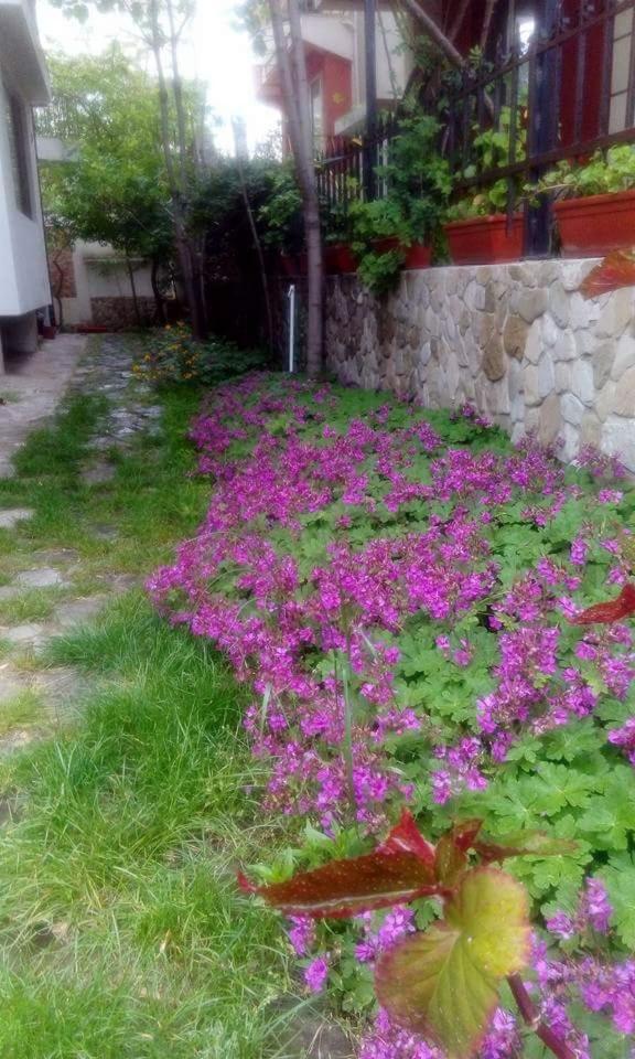 Nirvana Guest House