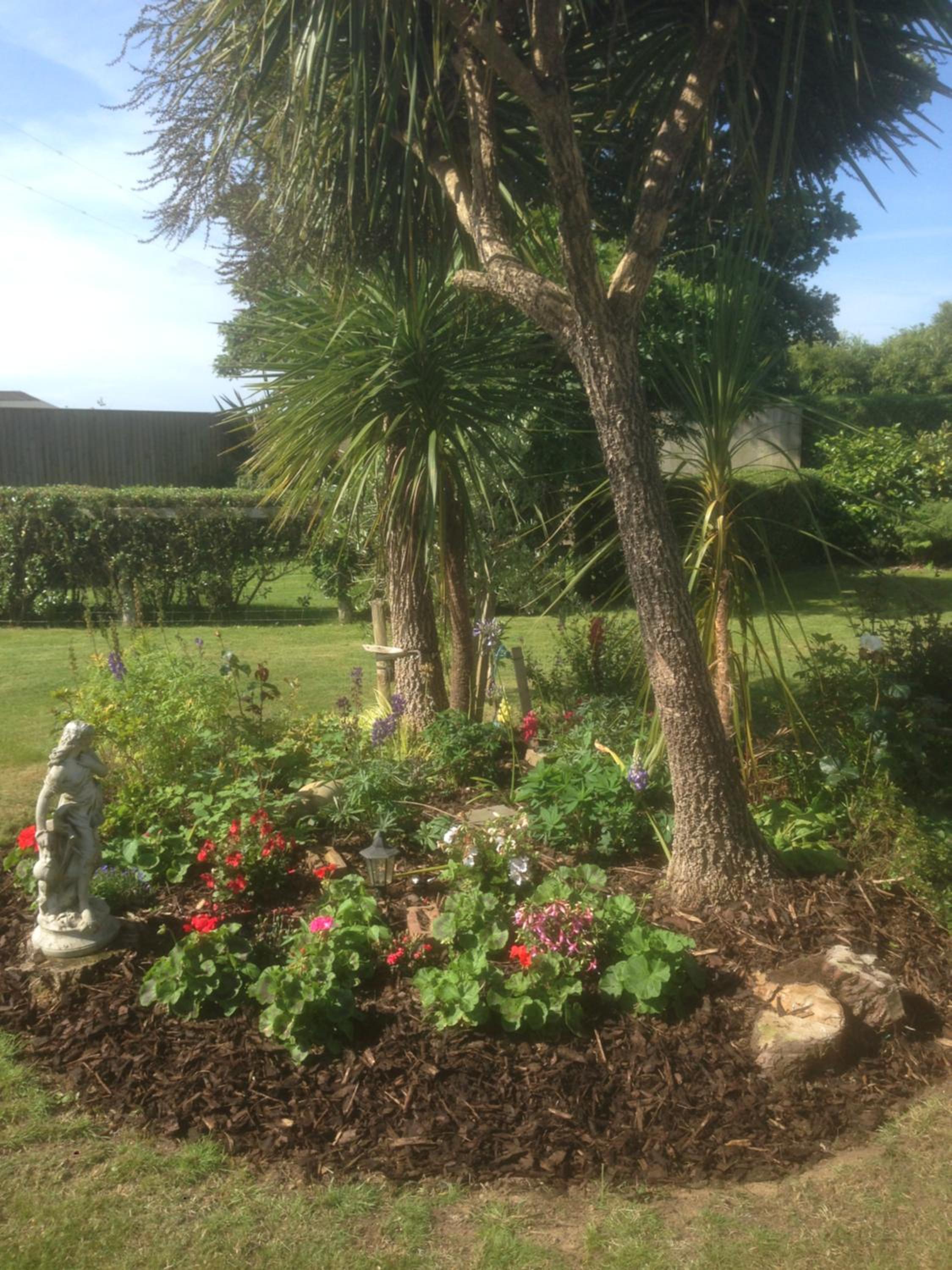 Photo 6