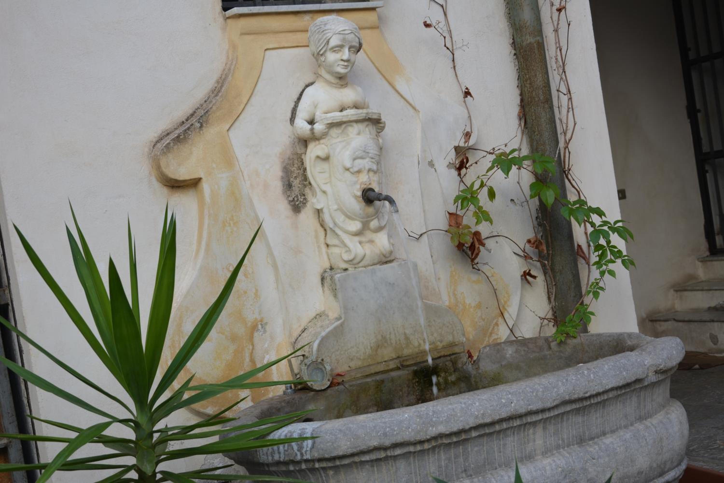 Photo 37