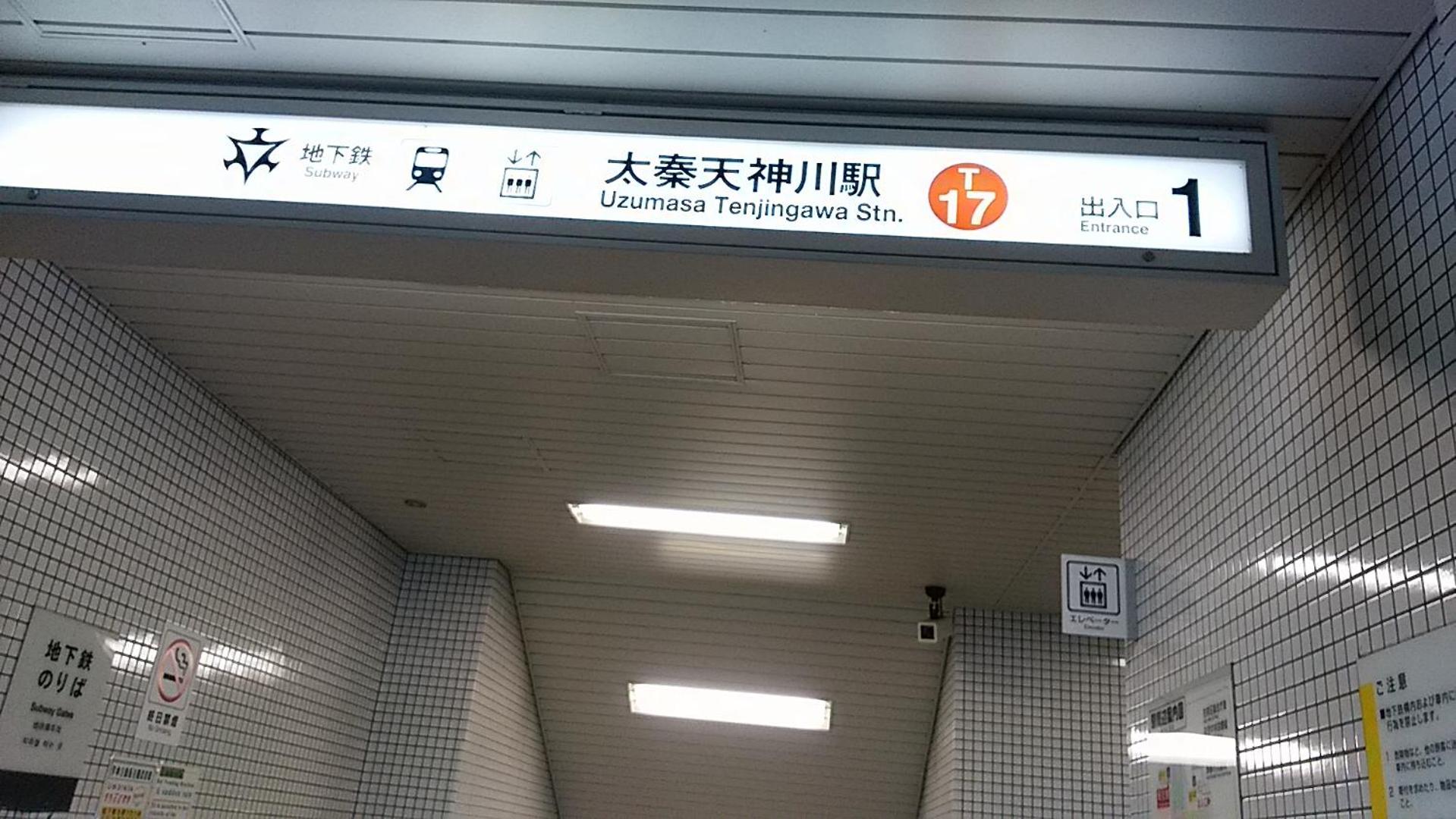 Photo 46