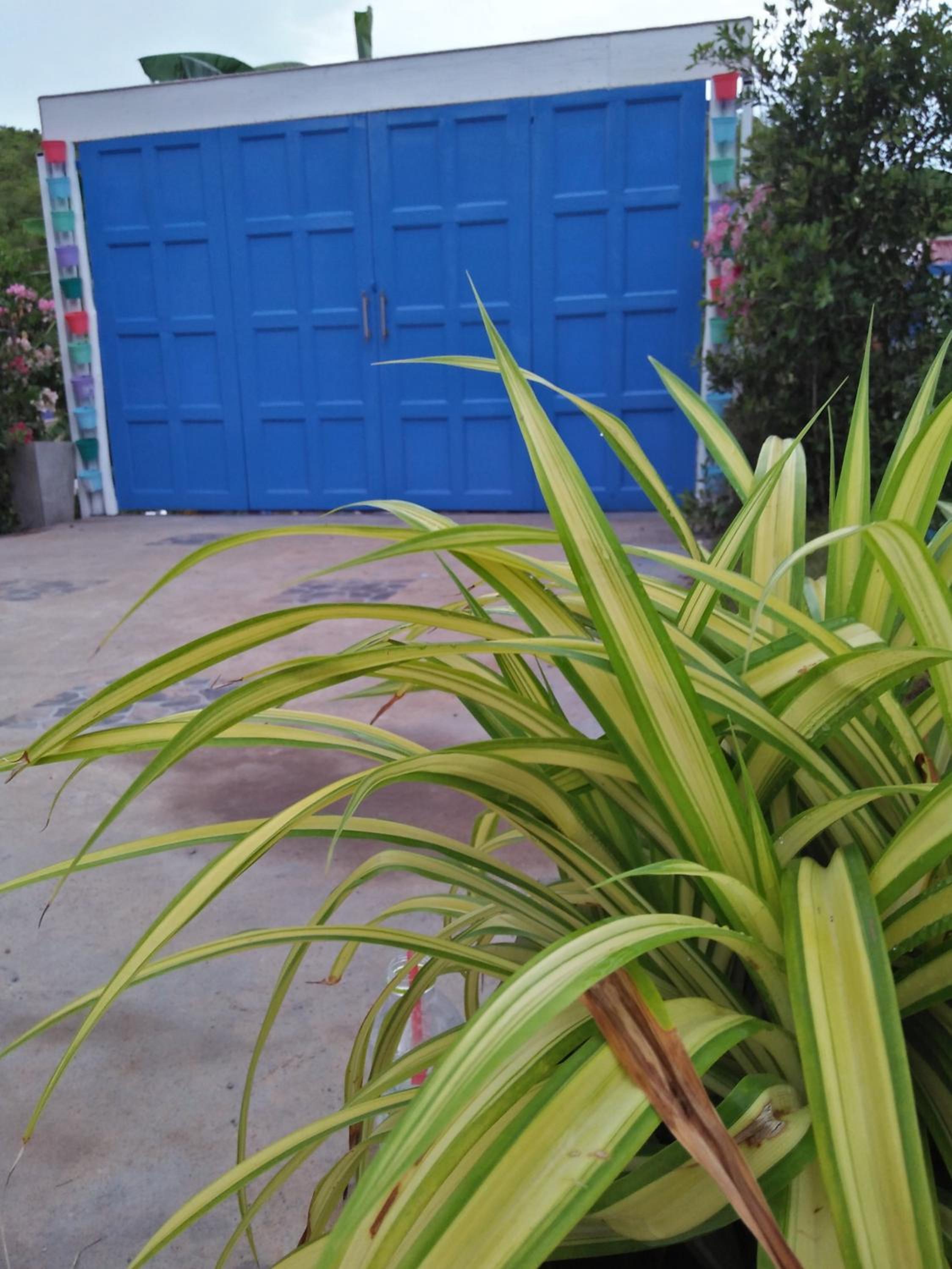 Photo 44