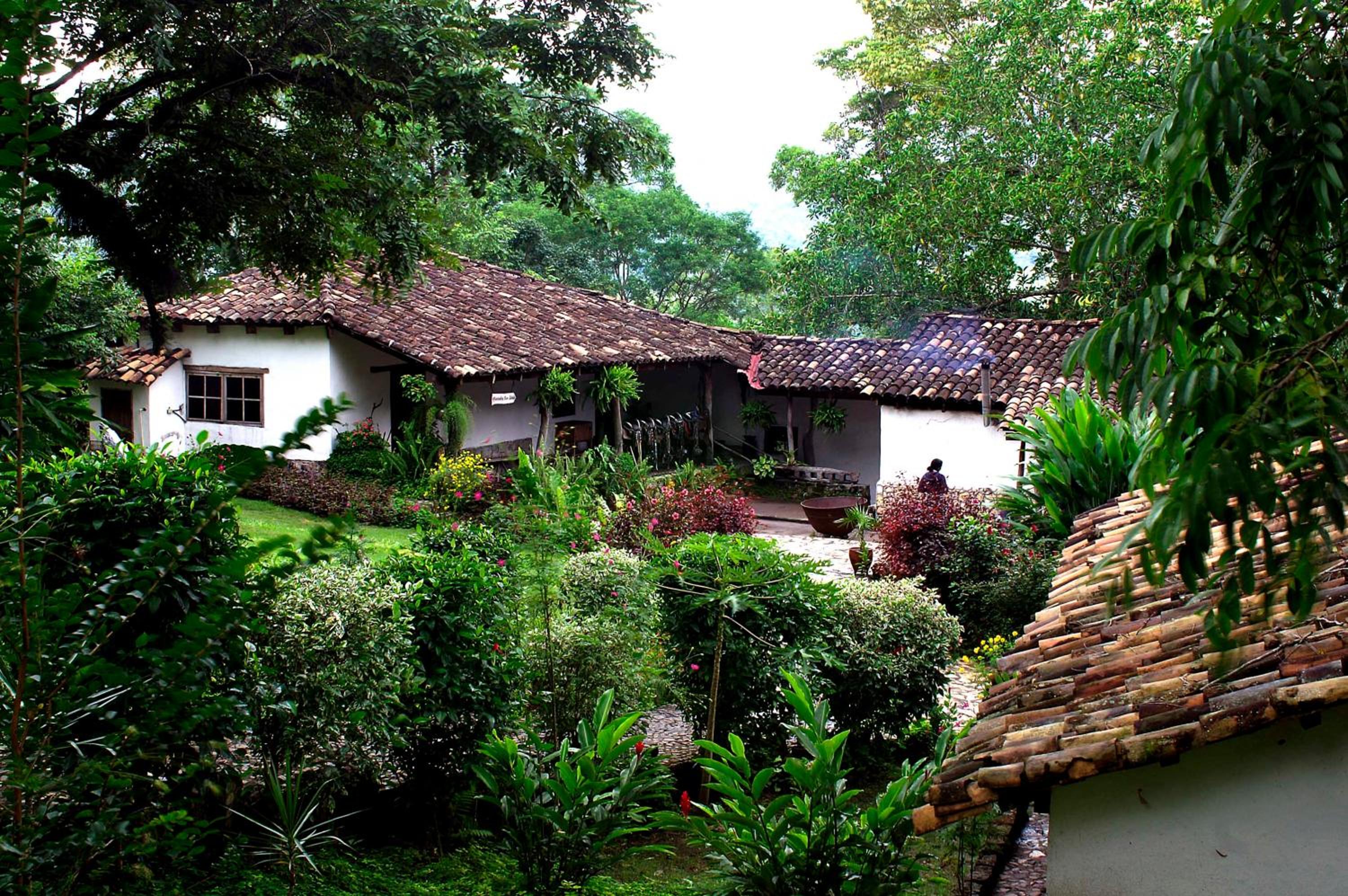 Hotel Hacienda San Lucas view 3