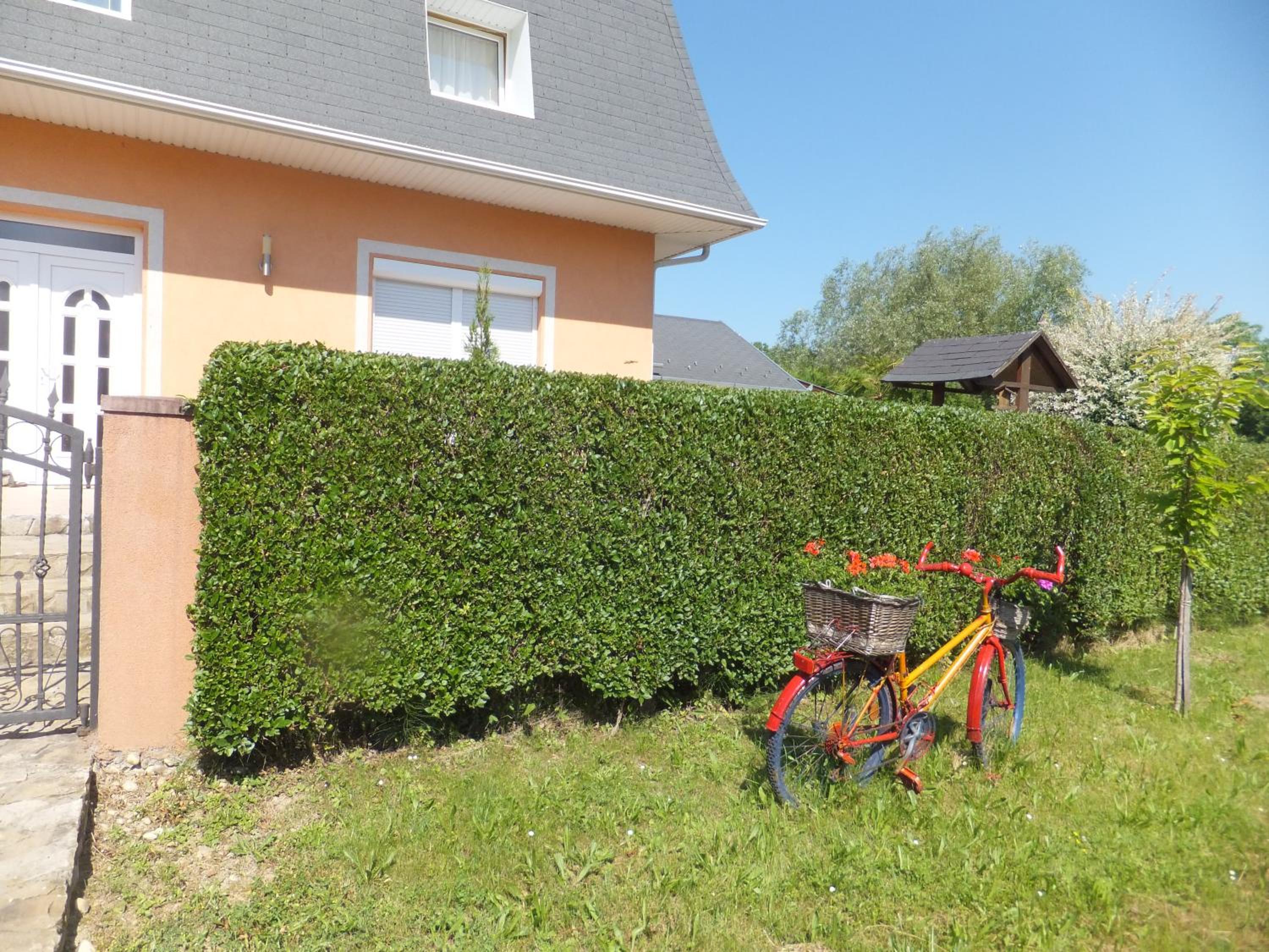 Photo 42