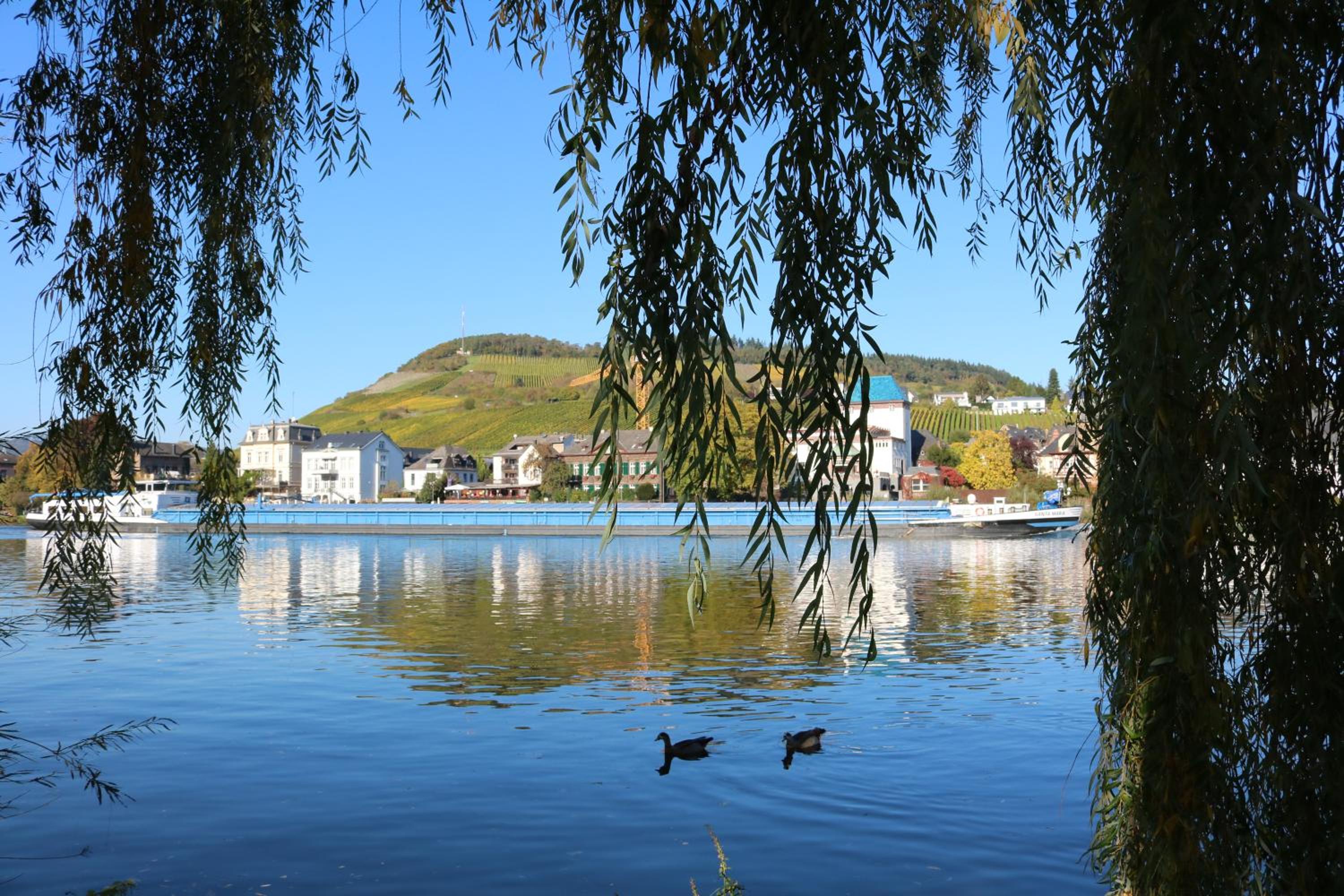 Alte Schmiede zu Trarbach