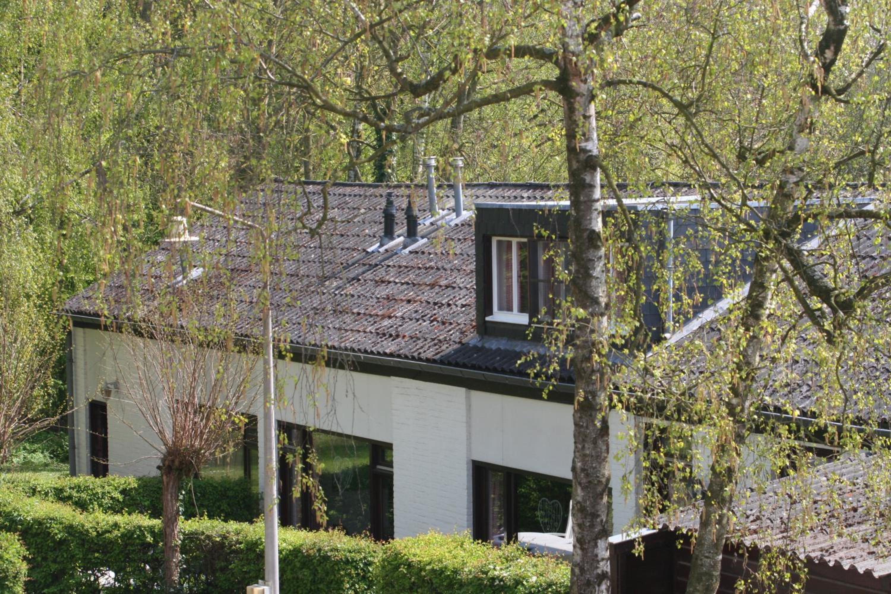 Photo 22