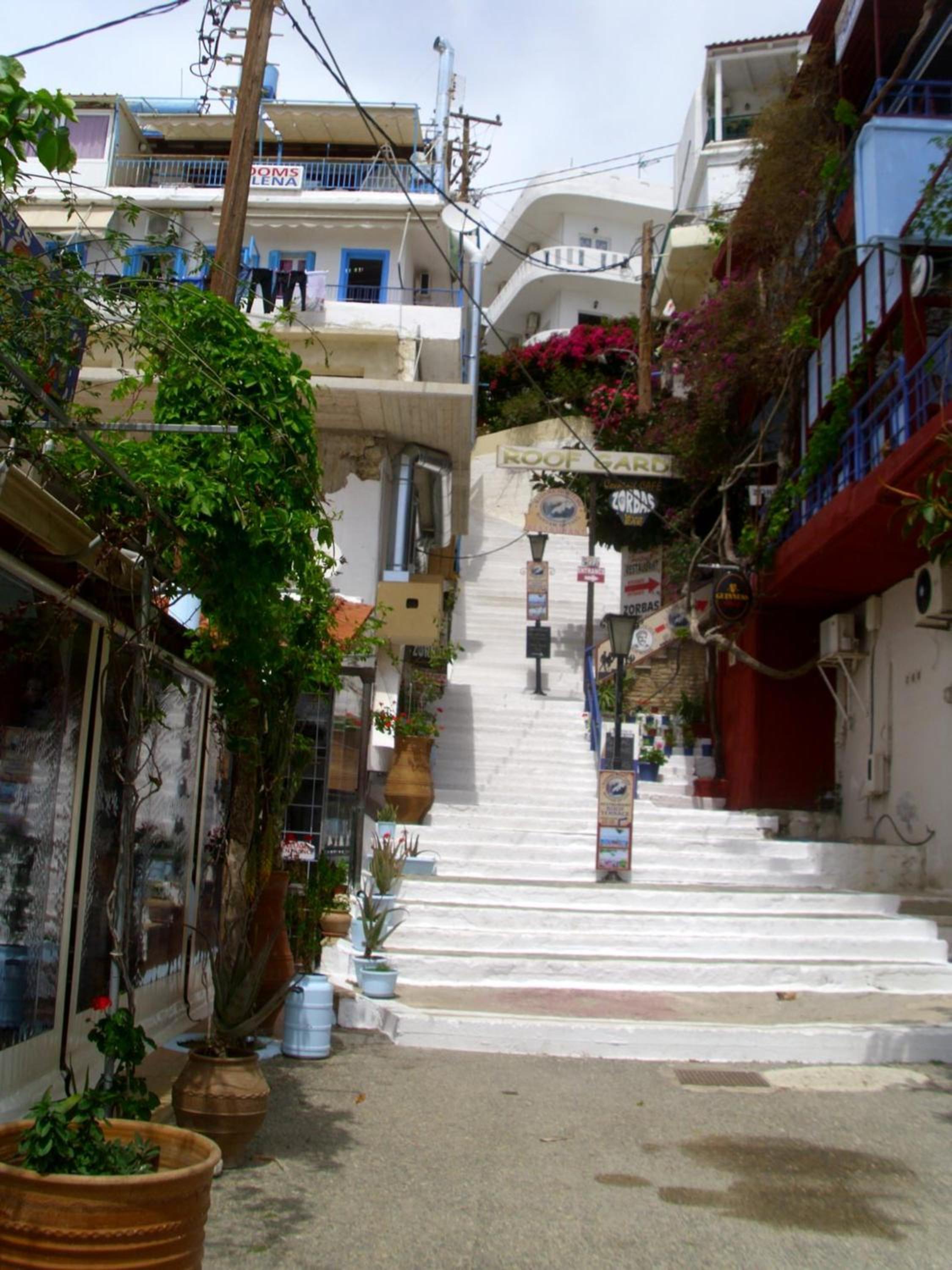 Photo 41