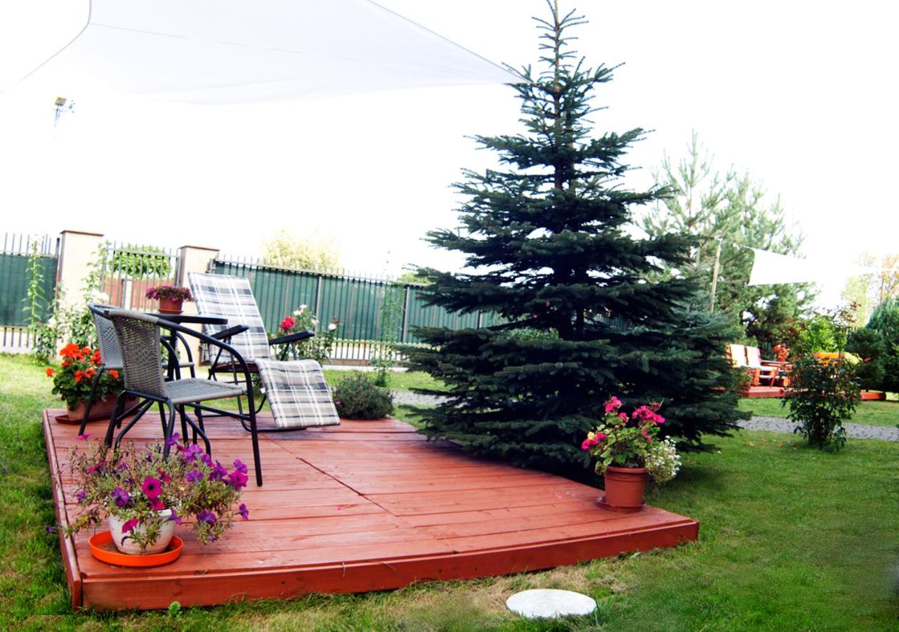 Photo 8