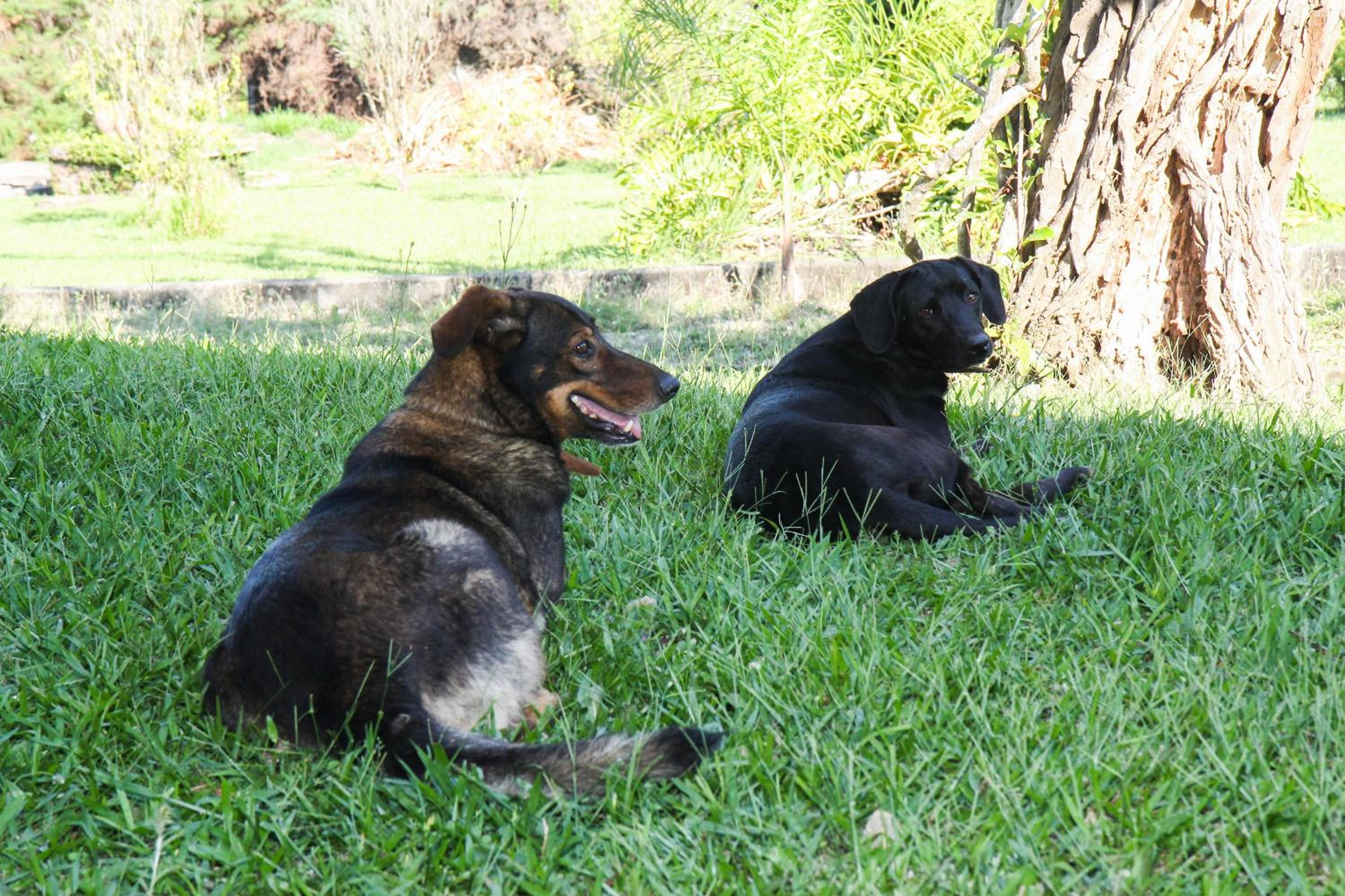 Photo 44