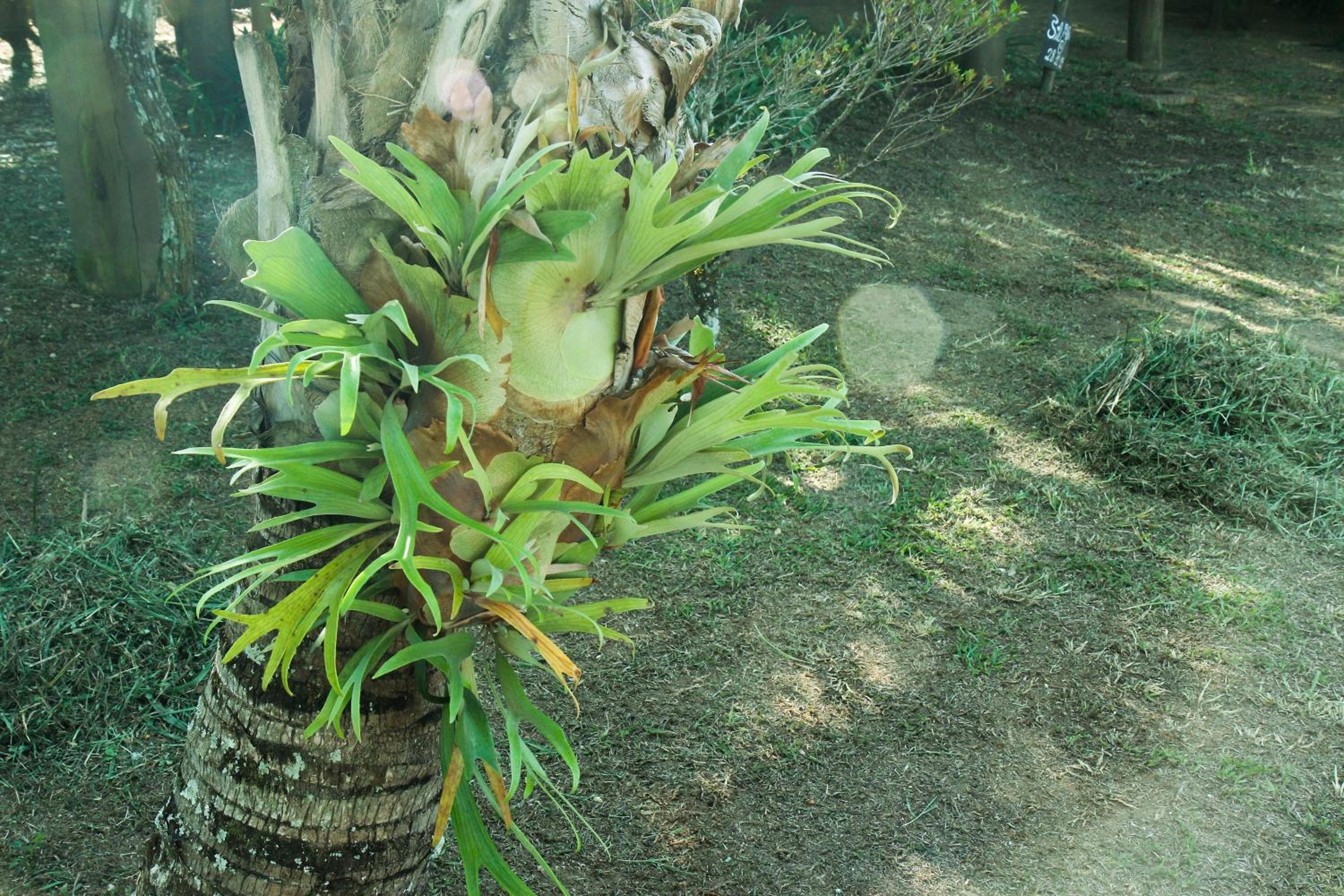Photo 47