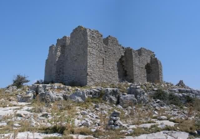 Photo 32