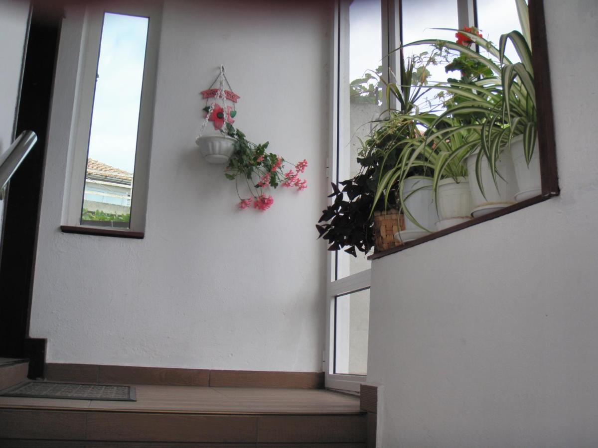 Guest House Prodanov