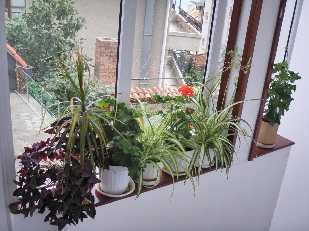 Guest House Prodanov