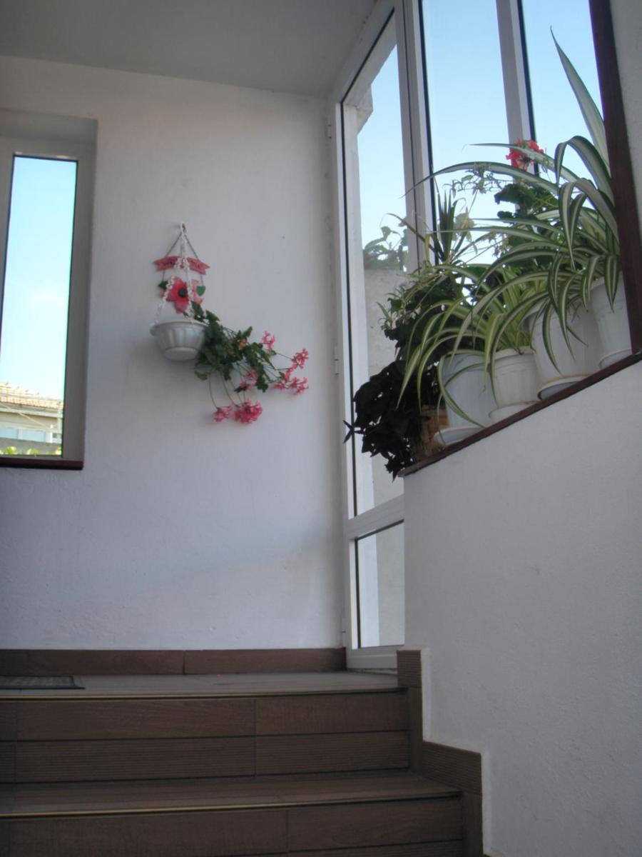 Guest House Prodanov