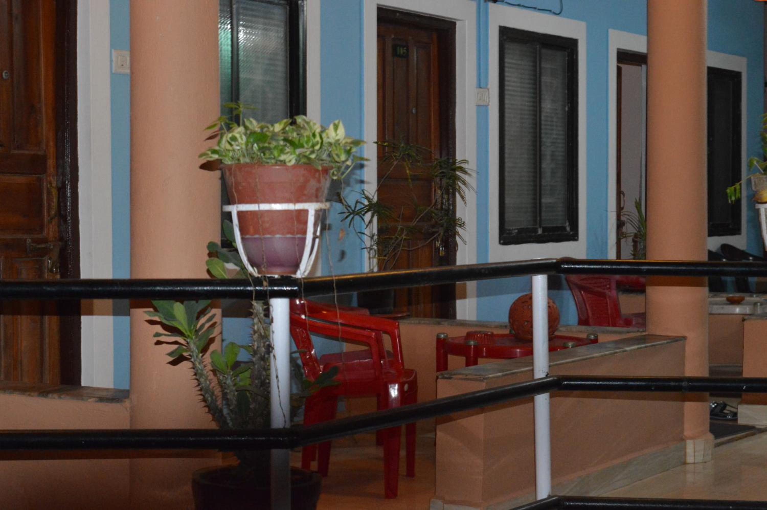 Cactus Guesthouse view 2