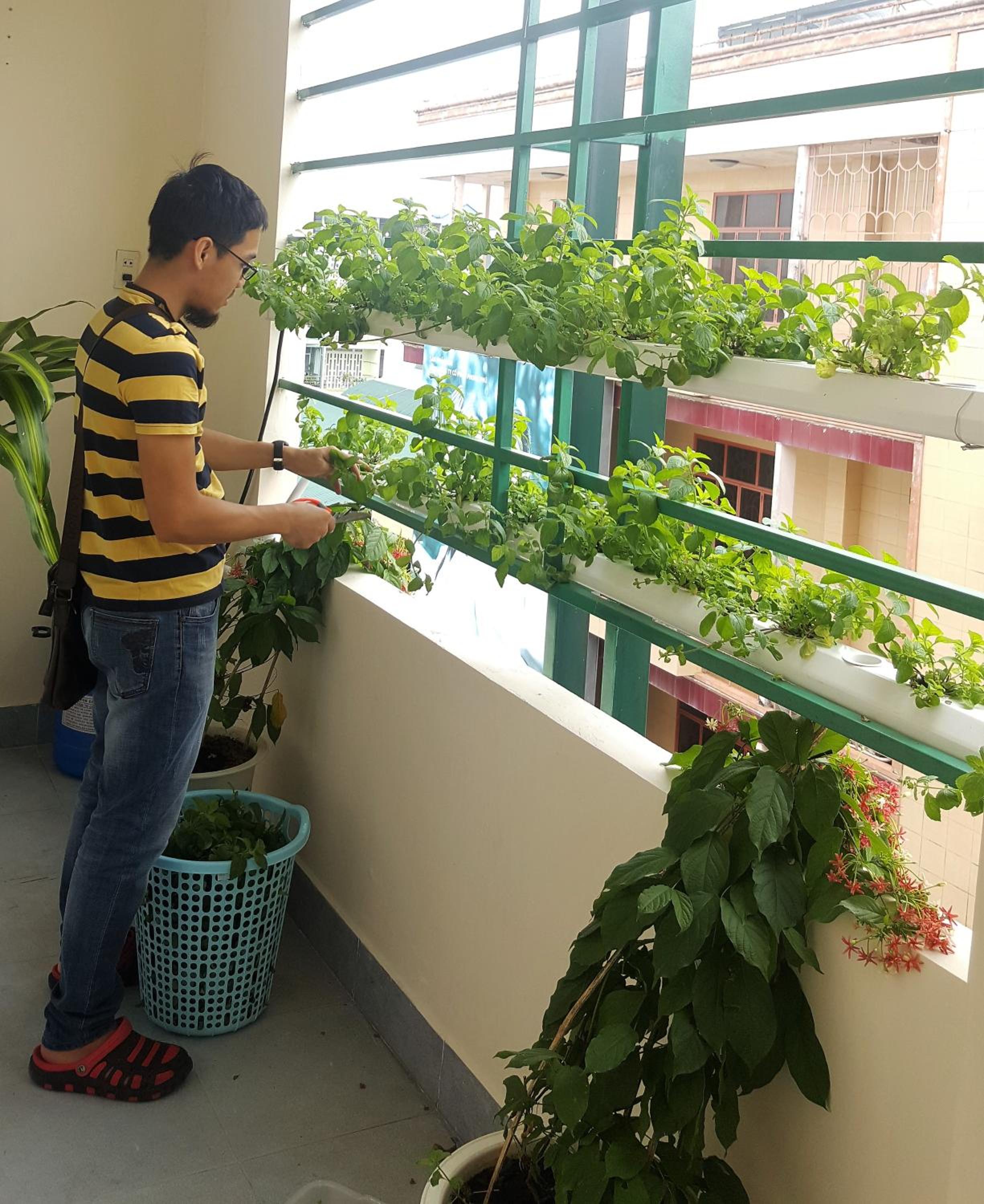 Winter Spring Homestay