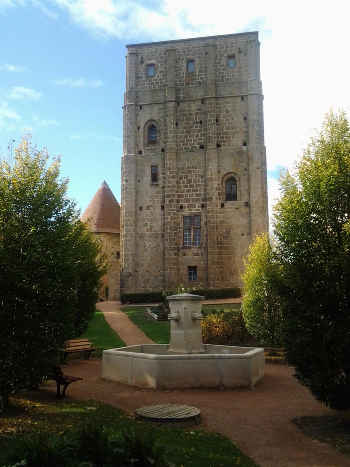 Photo 8