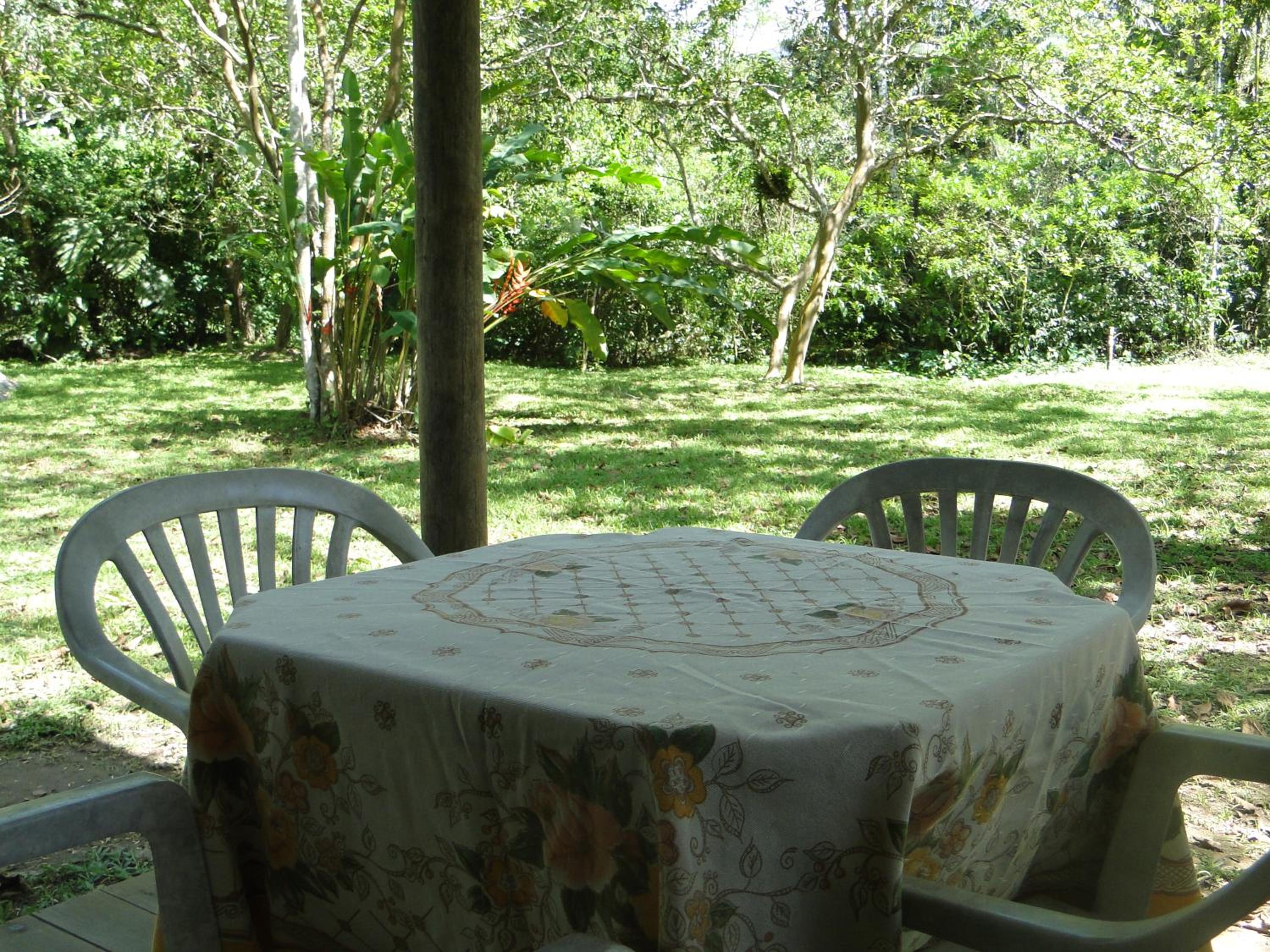 Photo 31