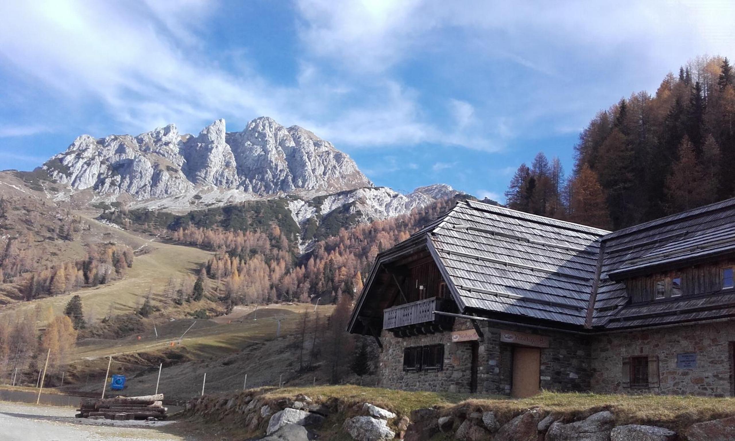Die Buche