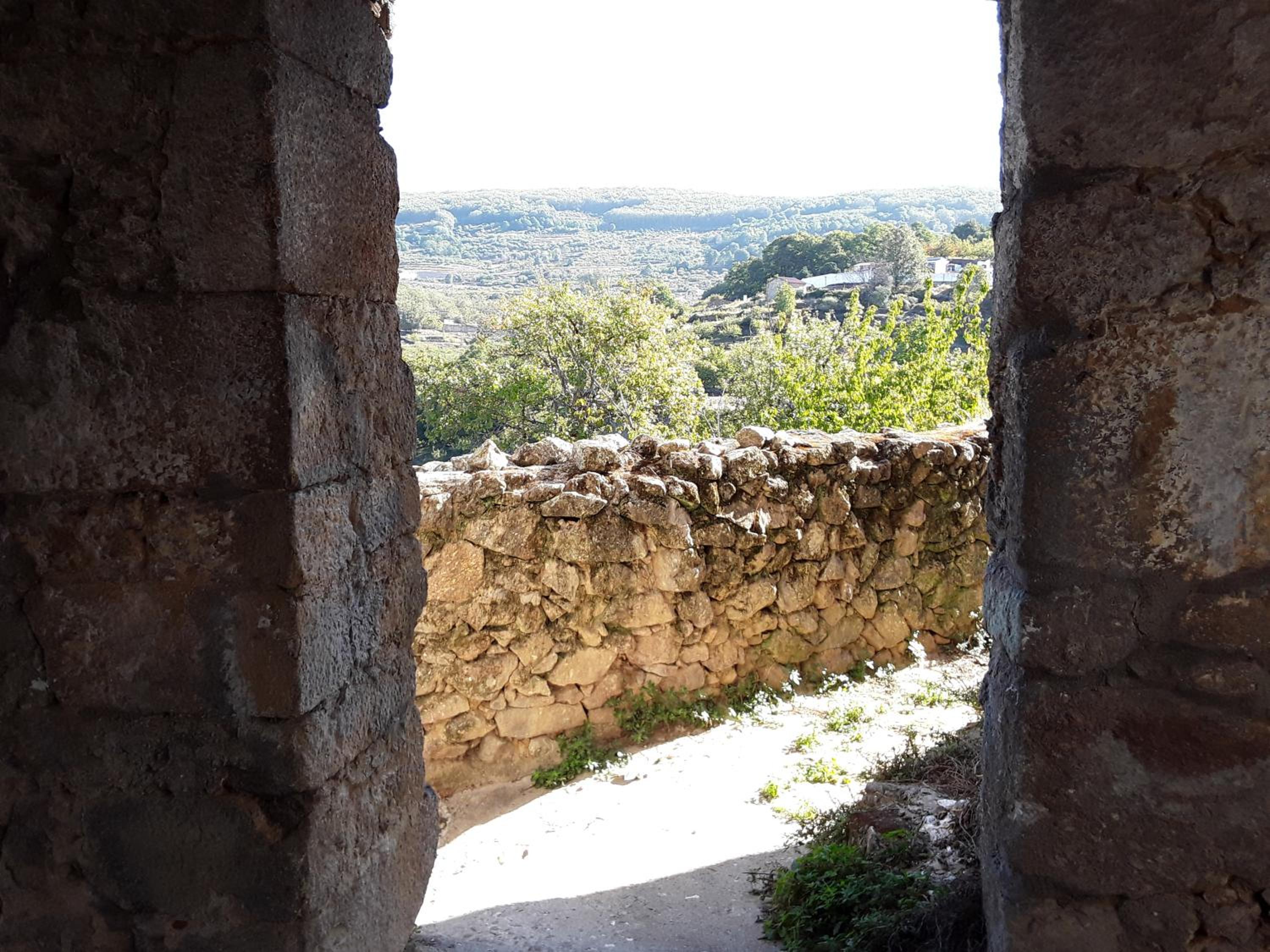 Las Glicinias del Jerte