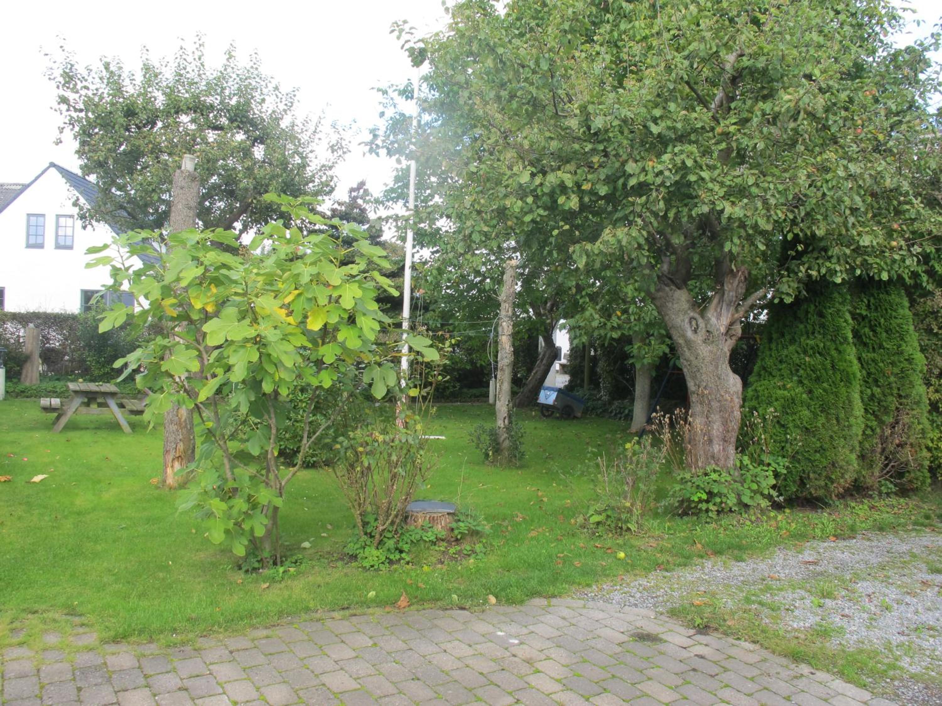 Guesthouse Sharon Aarhus