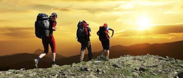 Hotel Il Quadrifoglio guesthouse - Image 1