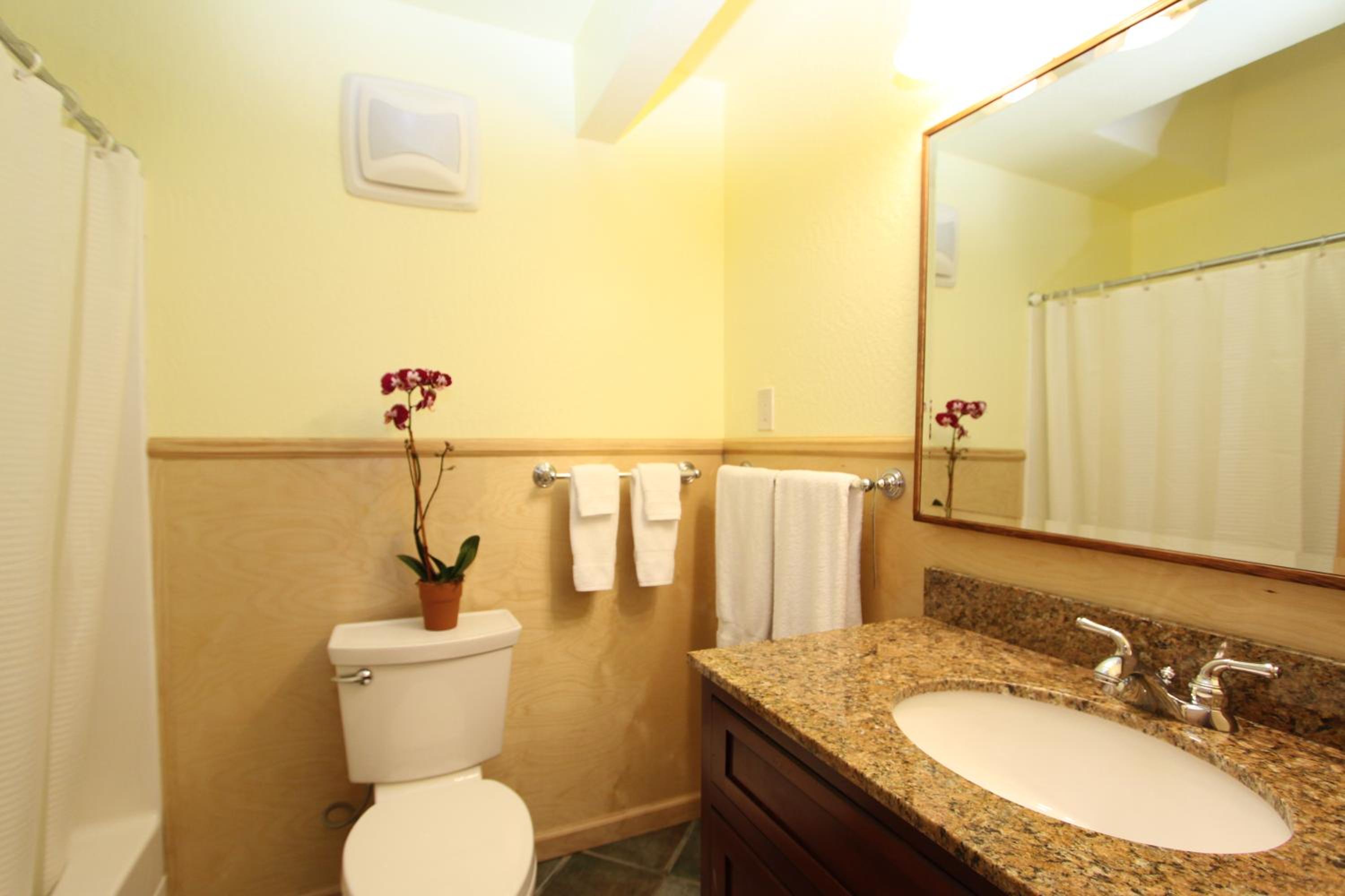 The Woods Hotel - Gay LGBTQ Cabins