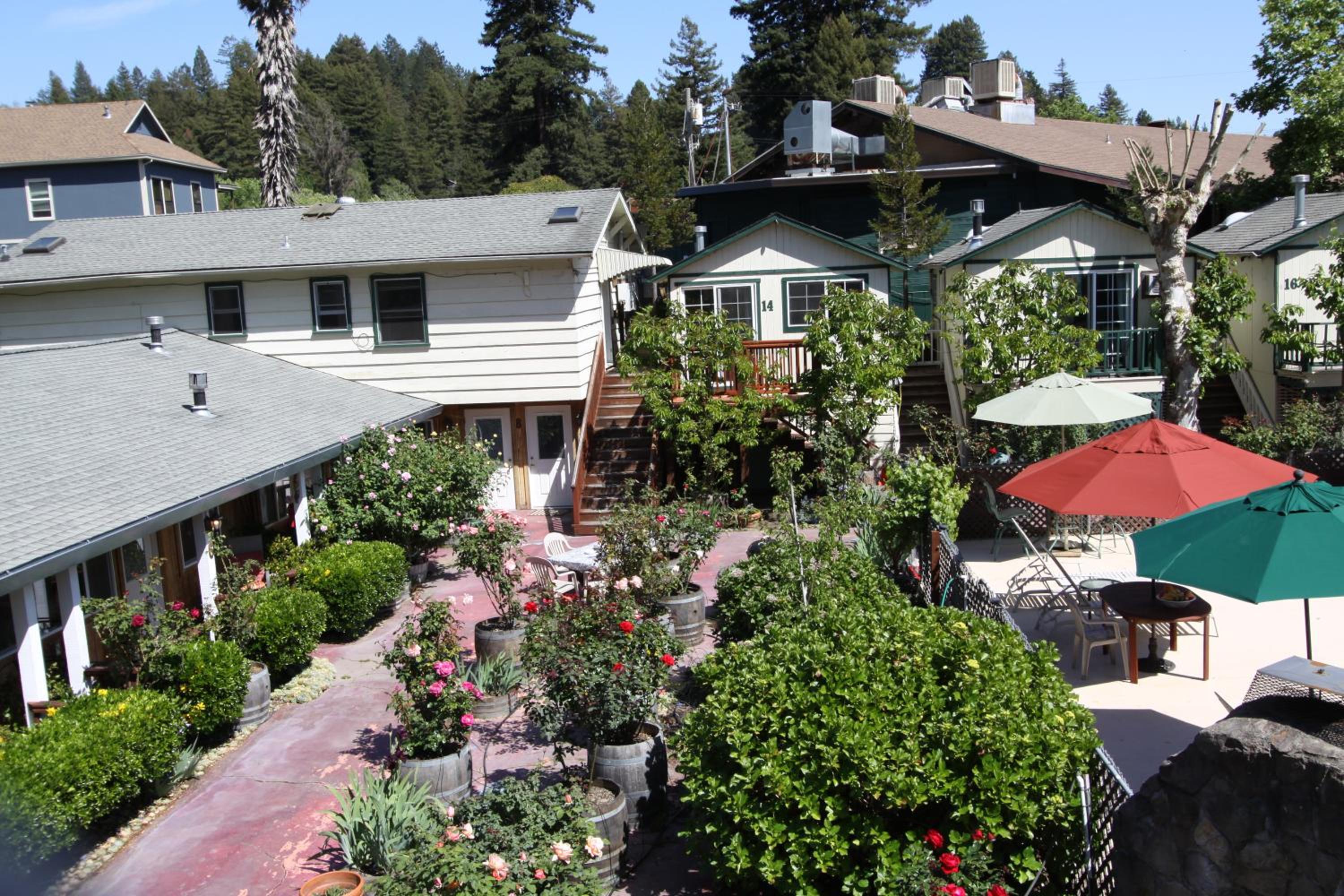 The Woods Hotel - Gay LGBTQ Cabins