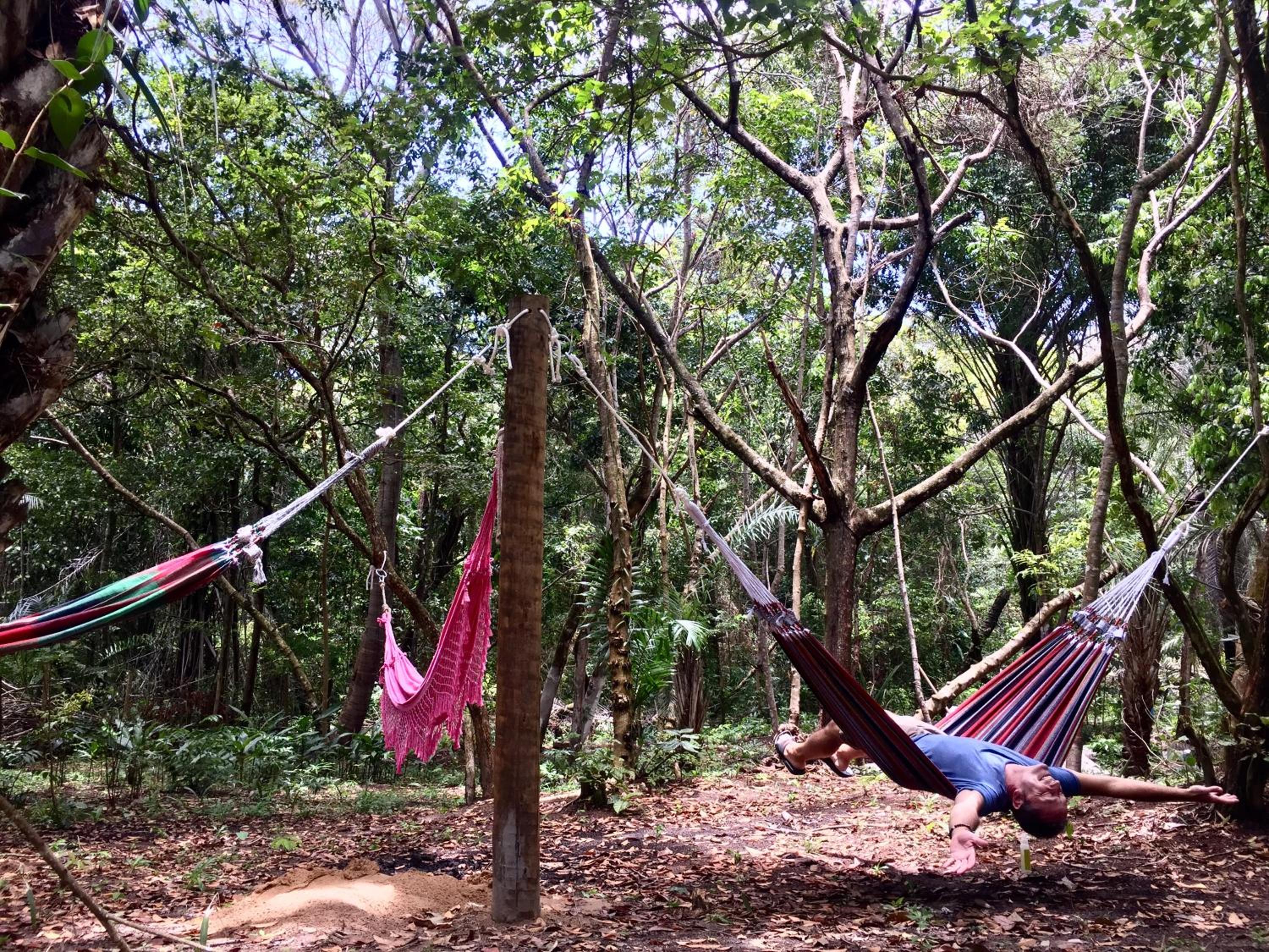 Recanto dos Pássaros Zen Apartamentos em meio de Natureza
