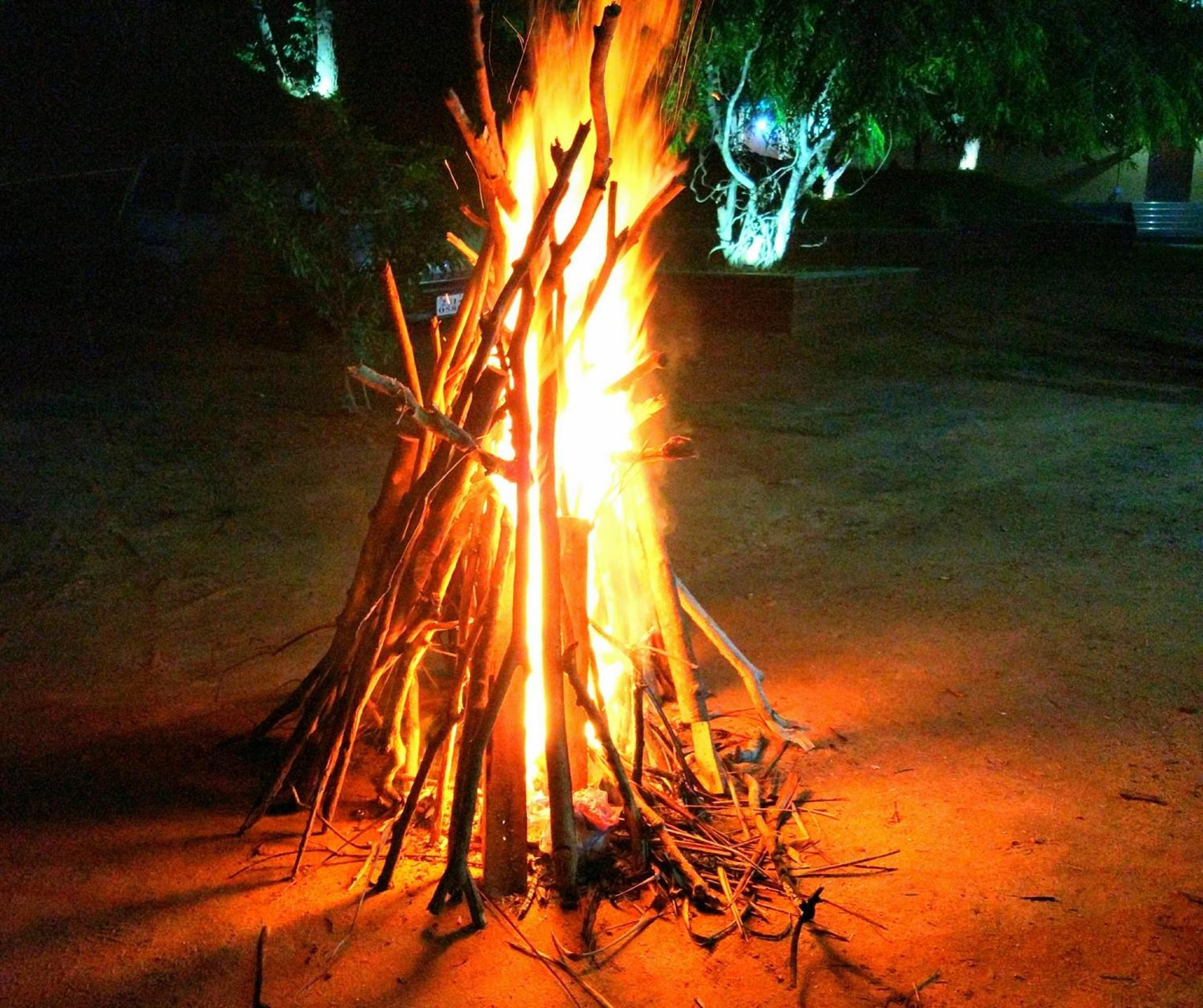 Wildescape Polonnaruwa