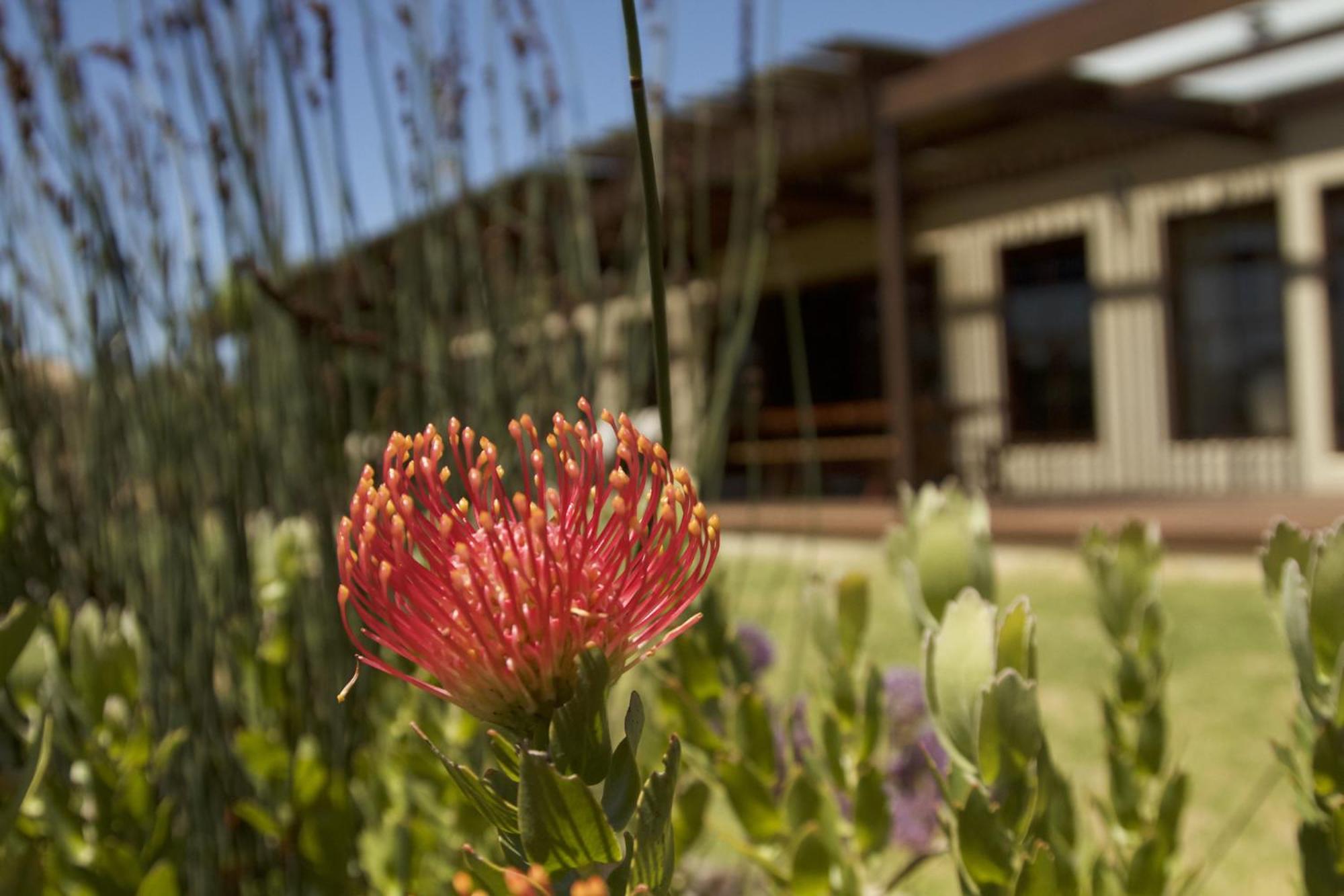 The Riverstone House view 4