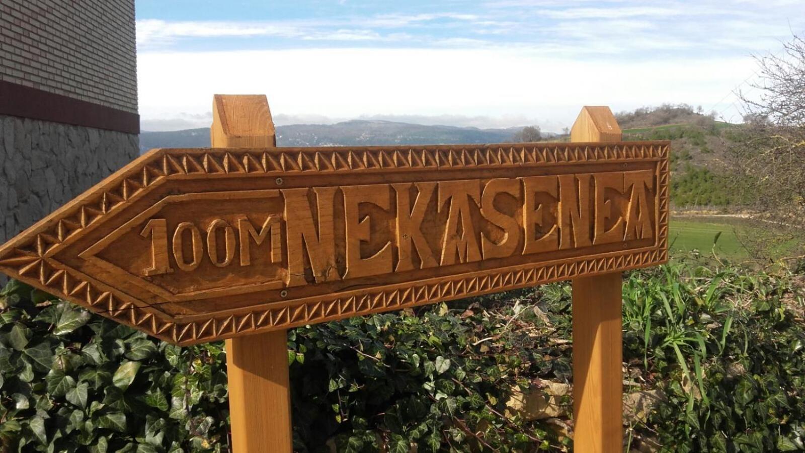 Nekasenea II view 3