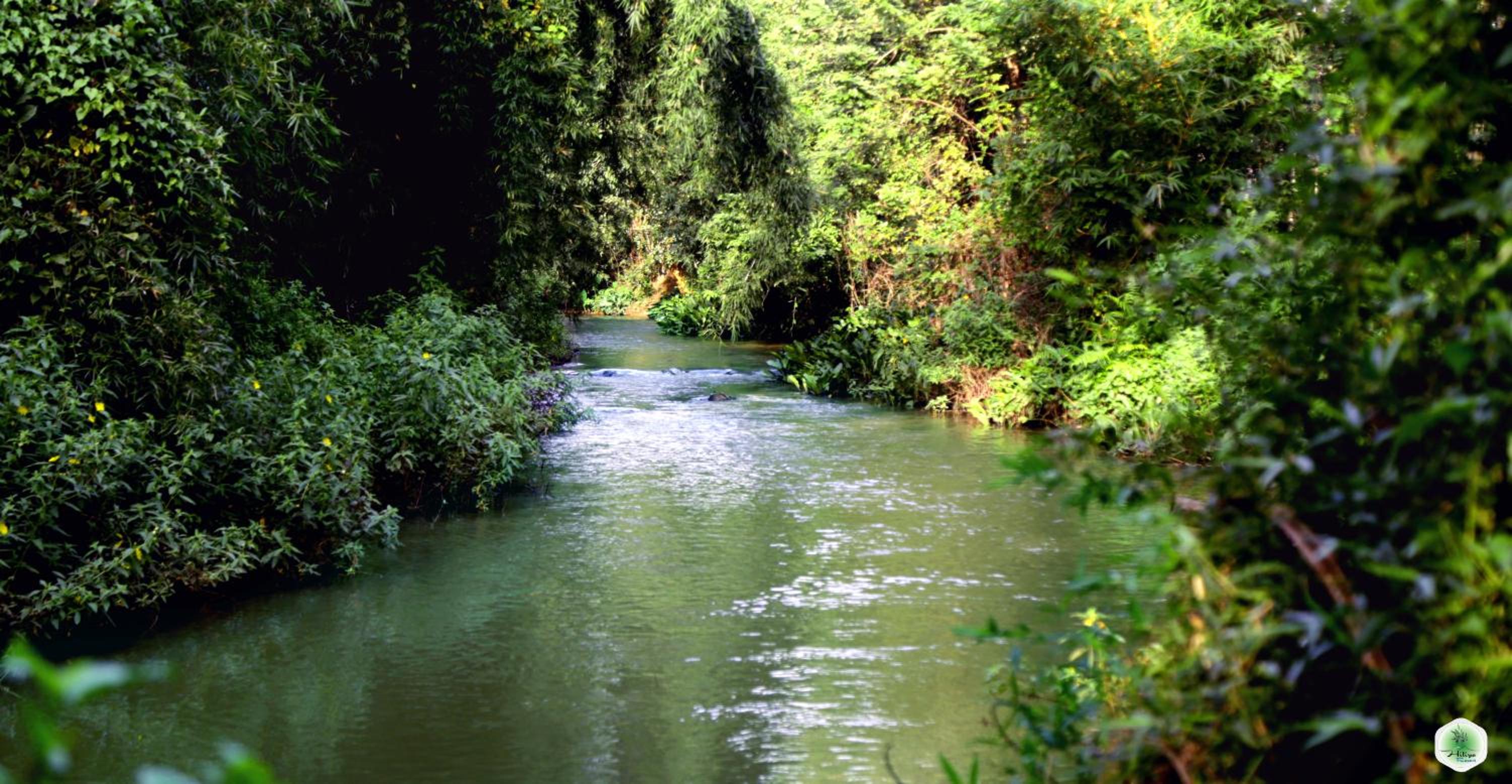 Photo 32