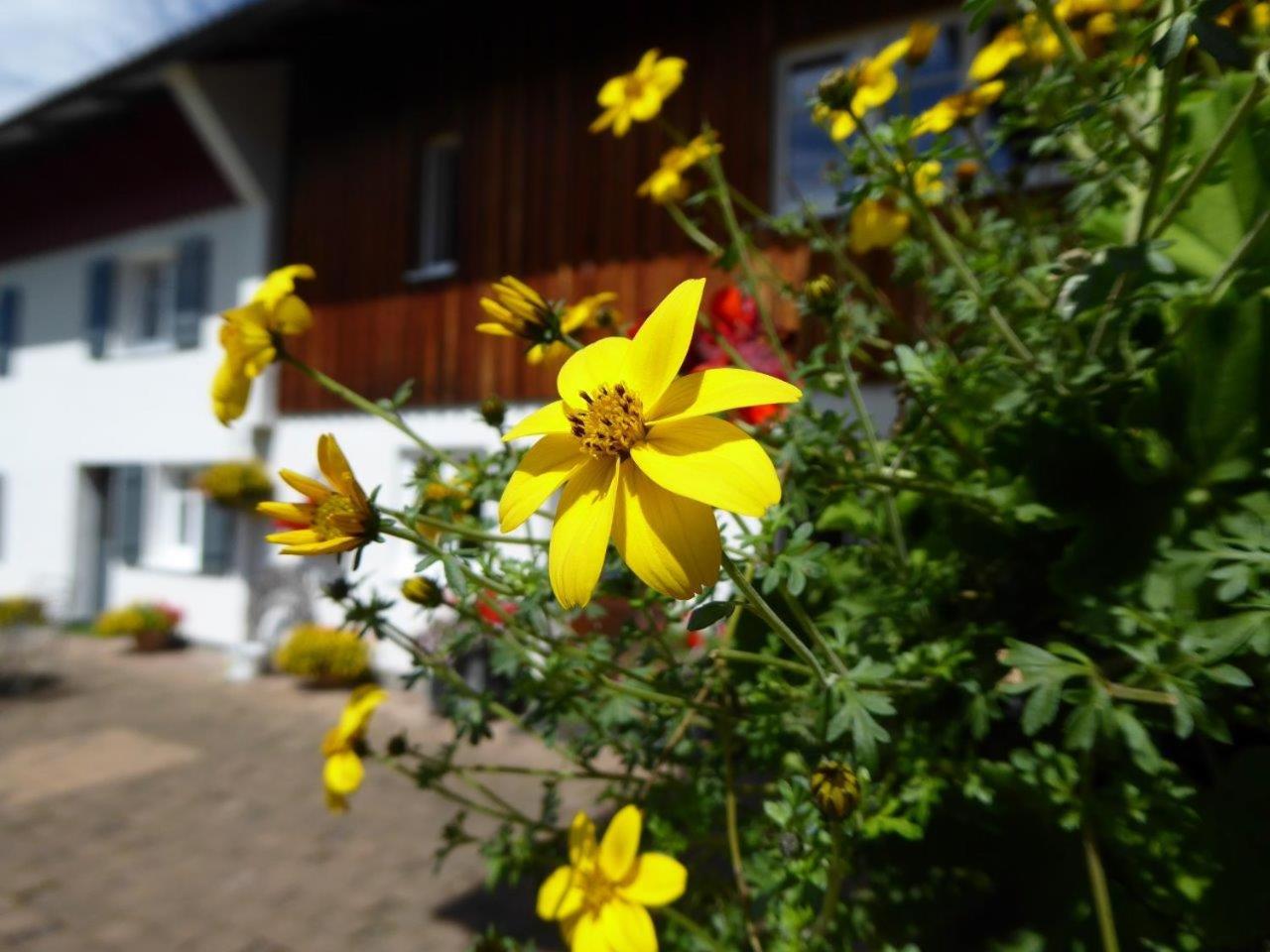 Ferienwohnung Rupp