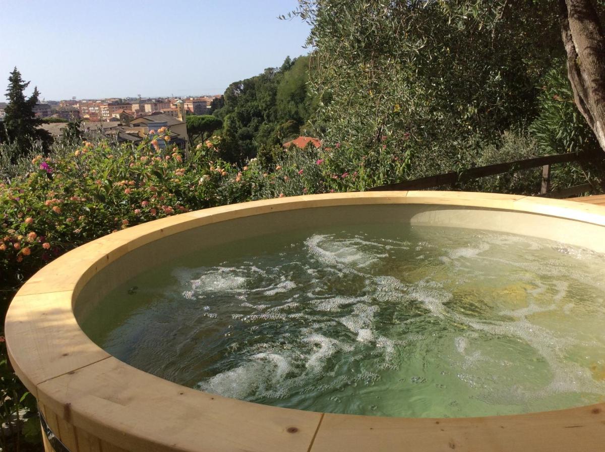 Olive Press Lodge view 4