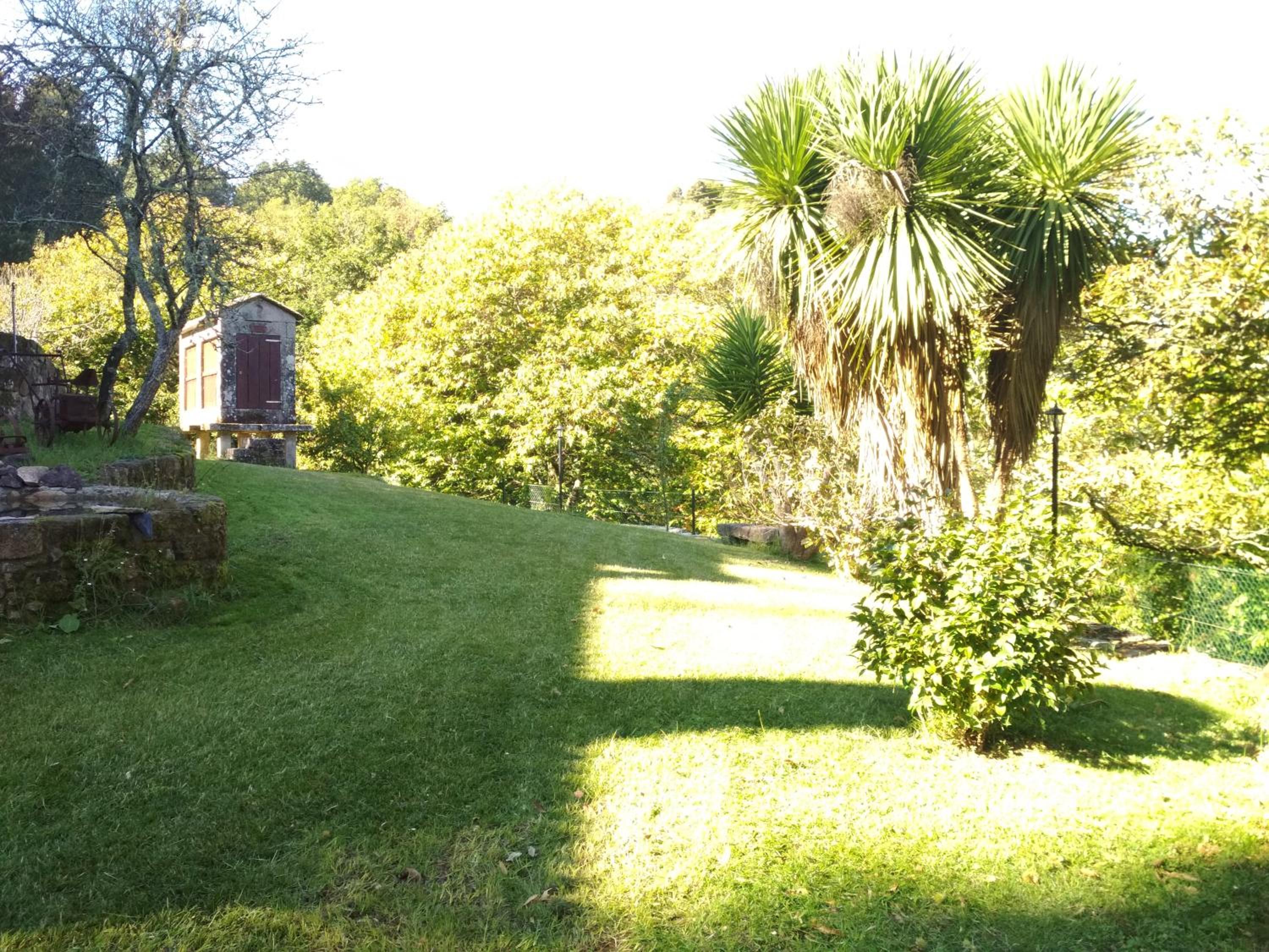 Photo 38