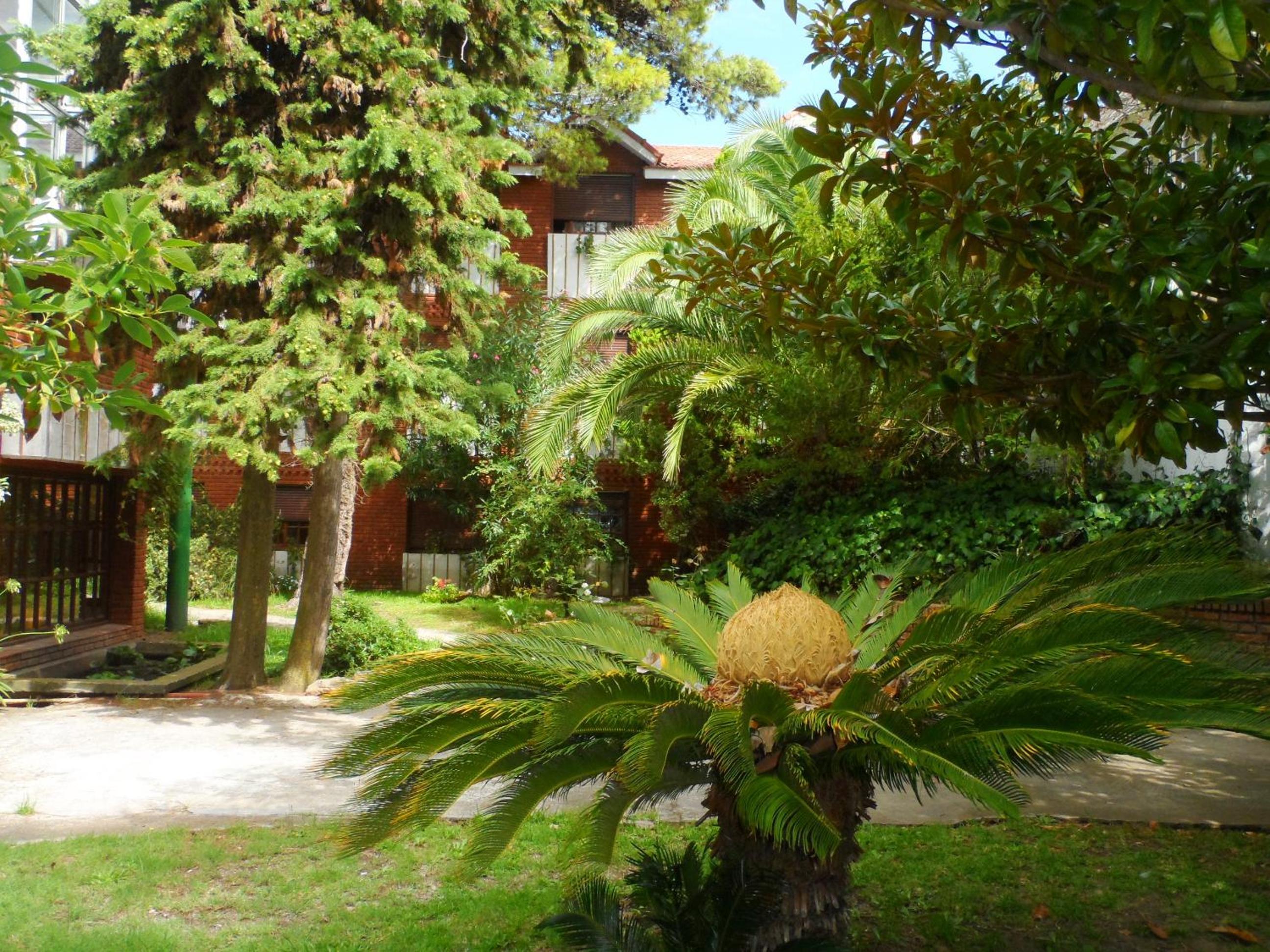 garden