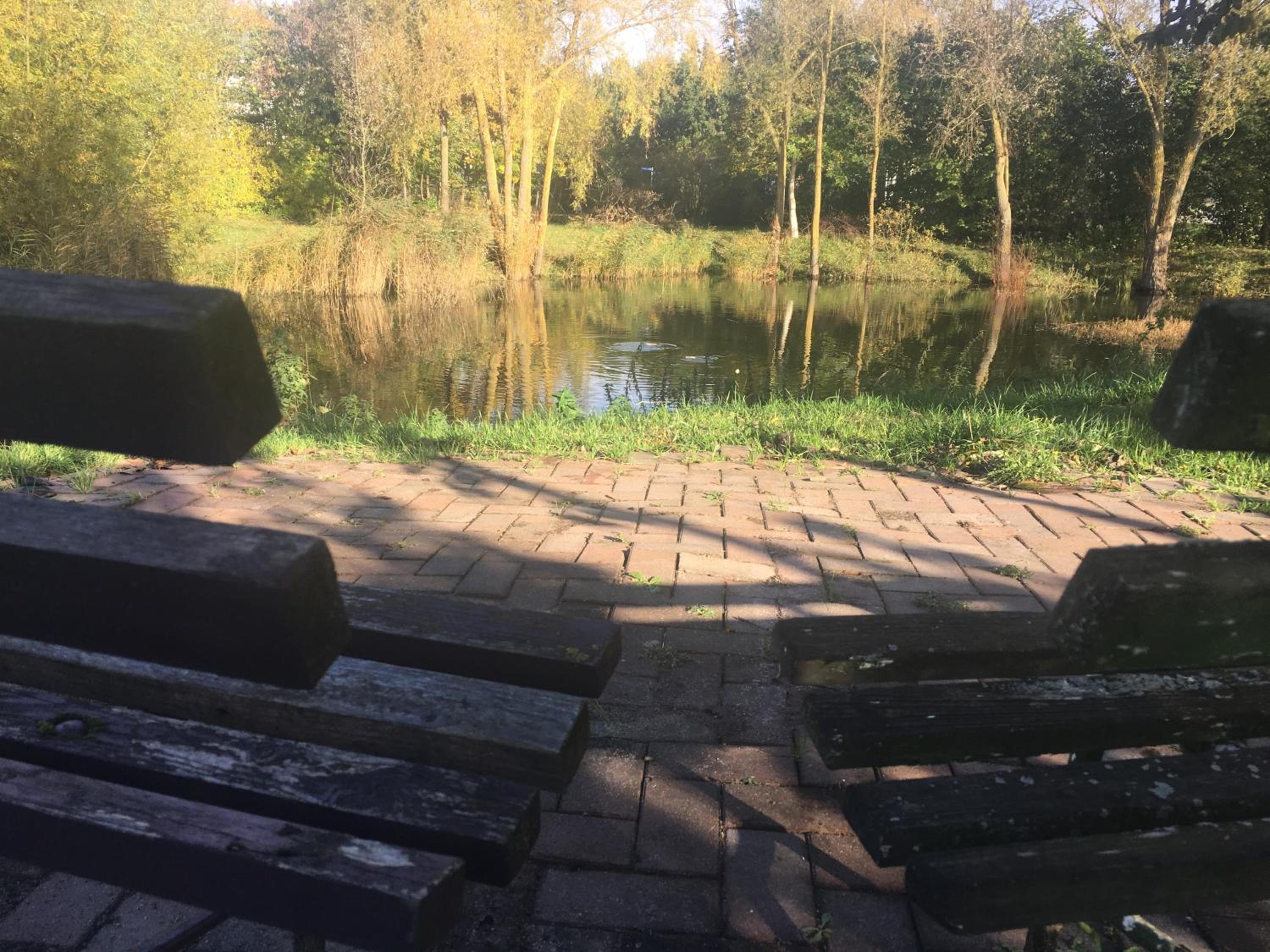 FeWo s Runde Wiese RW